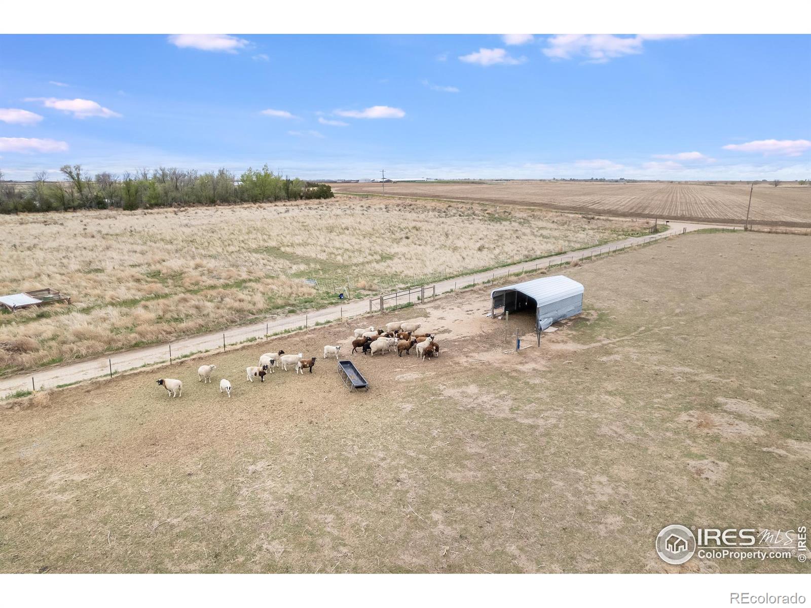 MLS Image #34 for 18700  county road 8 ,wiggins, Colorado