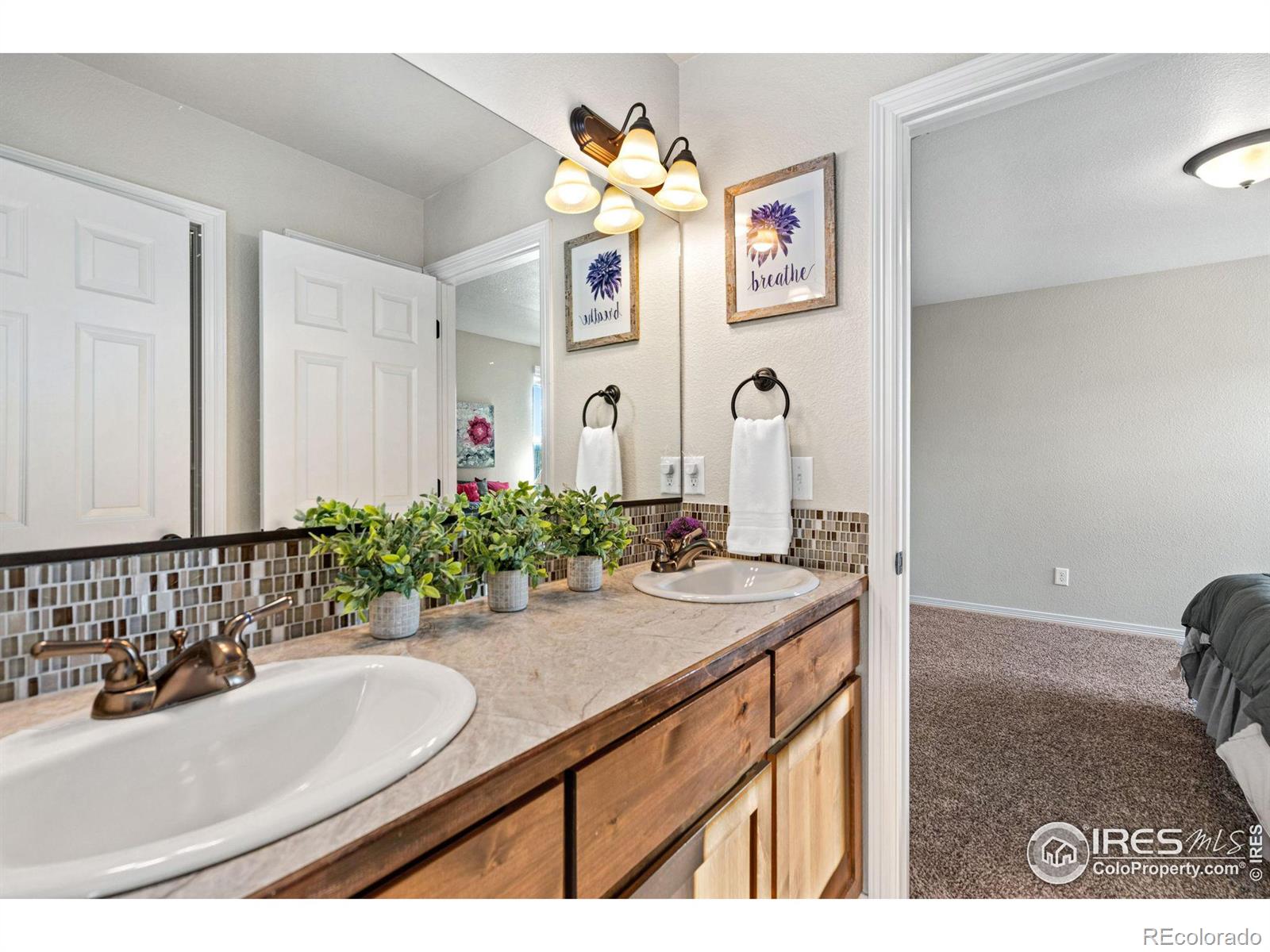 MLS Image #20 for 2932  caspian way,fort collins, Colorado