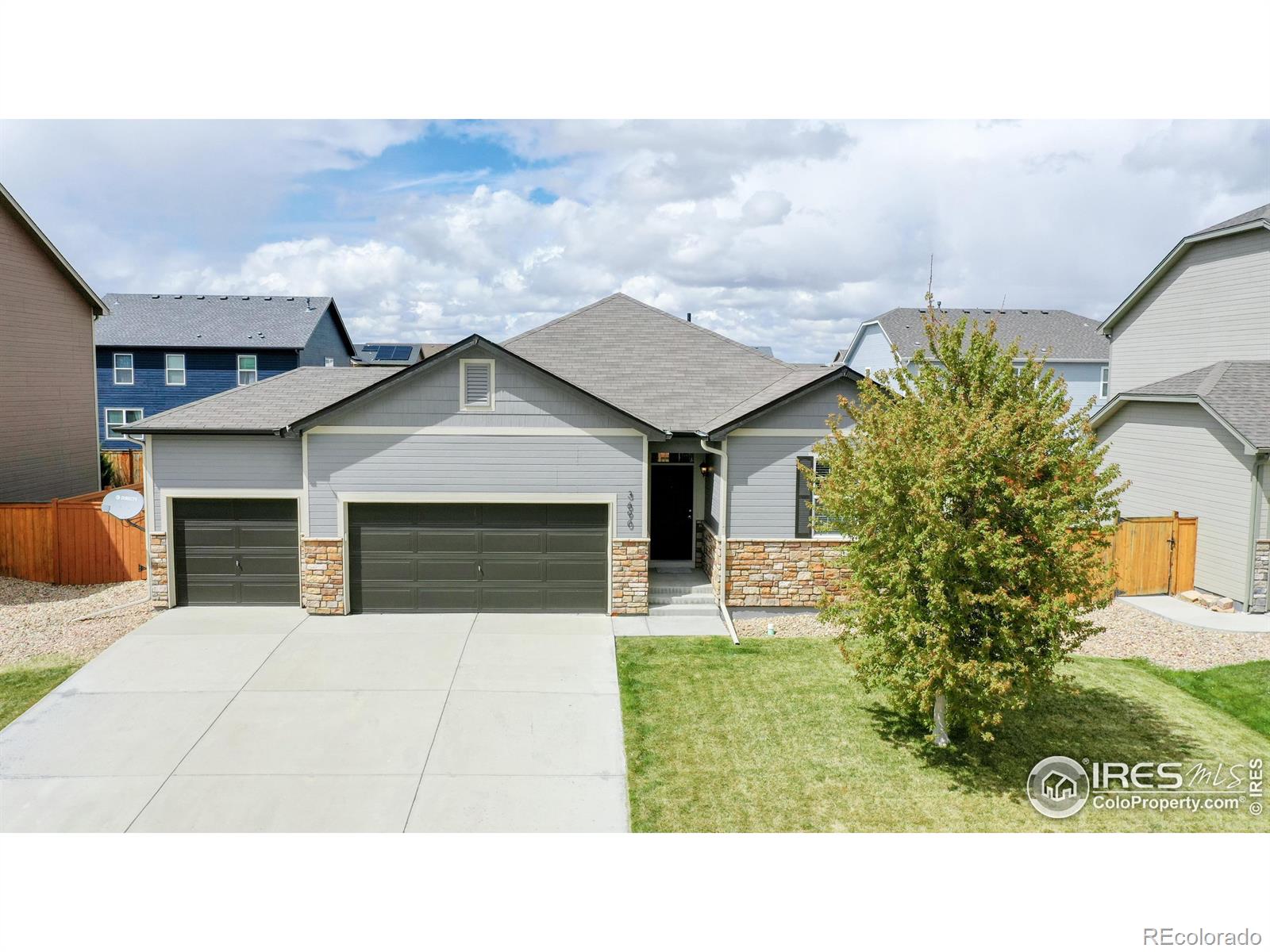 CMA Image for 3690  Torch Lily Street,Wellington, Colorado