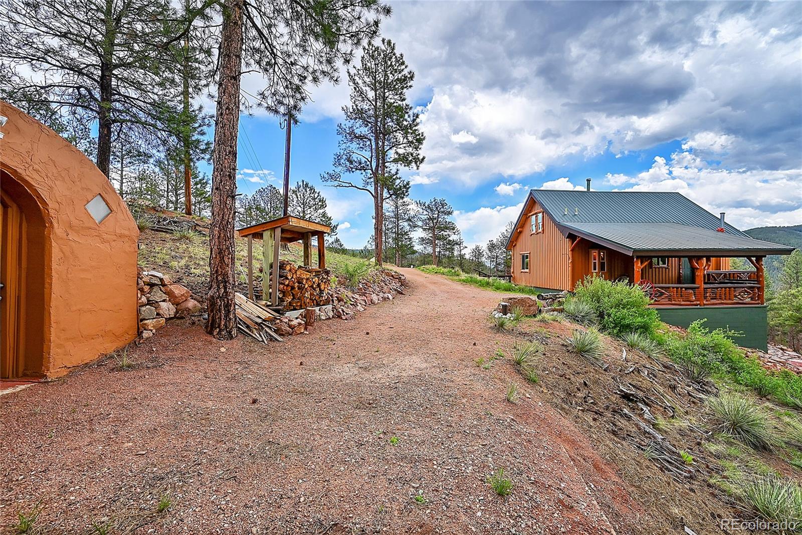 MLS Image #11 for 29462  high road,pine, Colorado