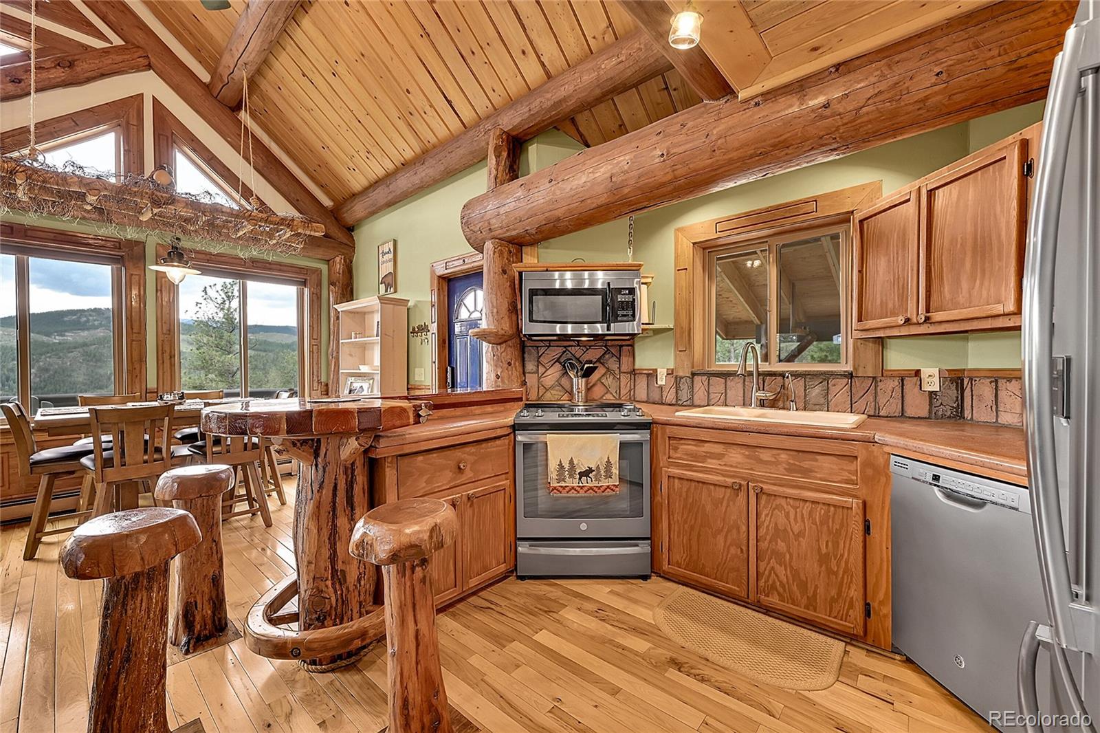 MLS Image #17 for 29462  high road,pine, Colorado