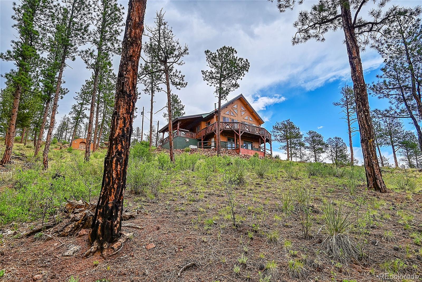 MLS Image #42 for 29462  high road,pine, Colorado