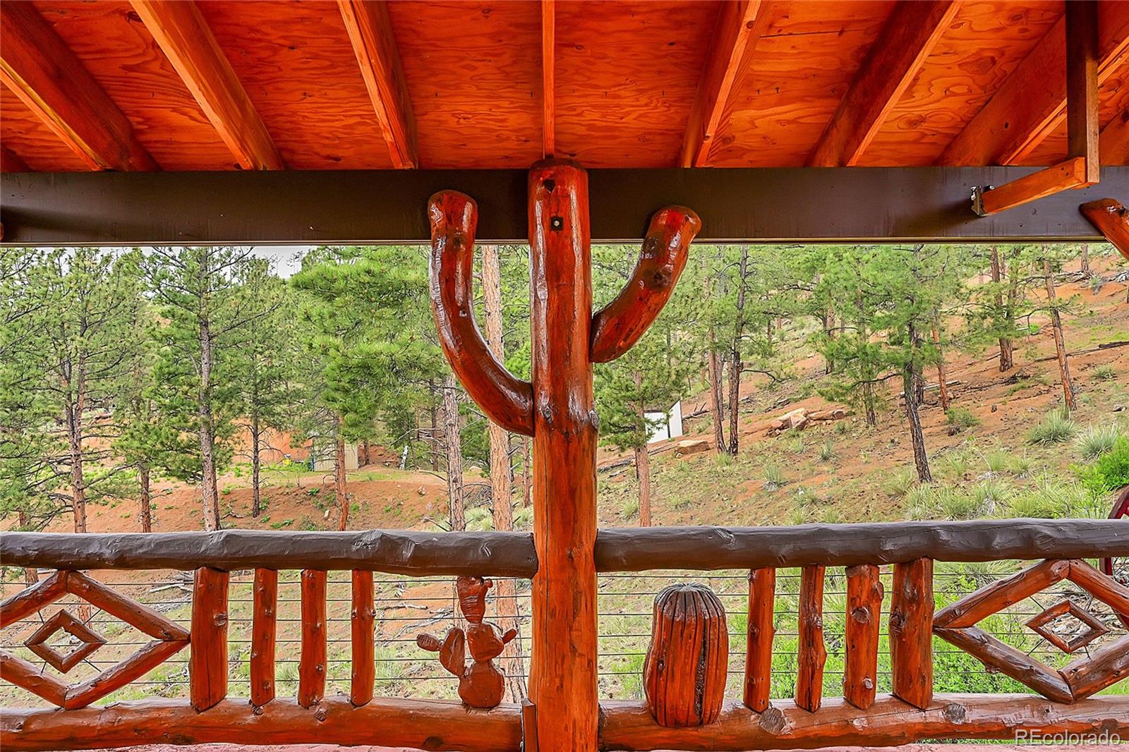 MLS Image #7 for 29462  high road,pine, Colorado