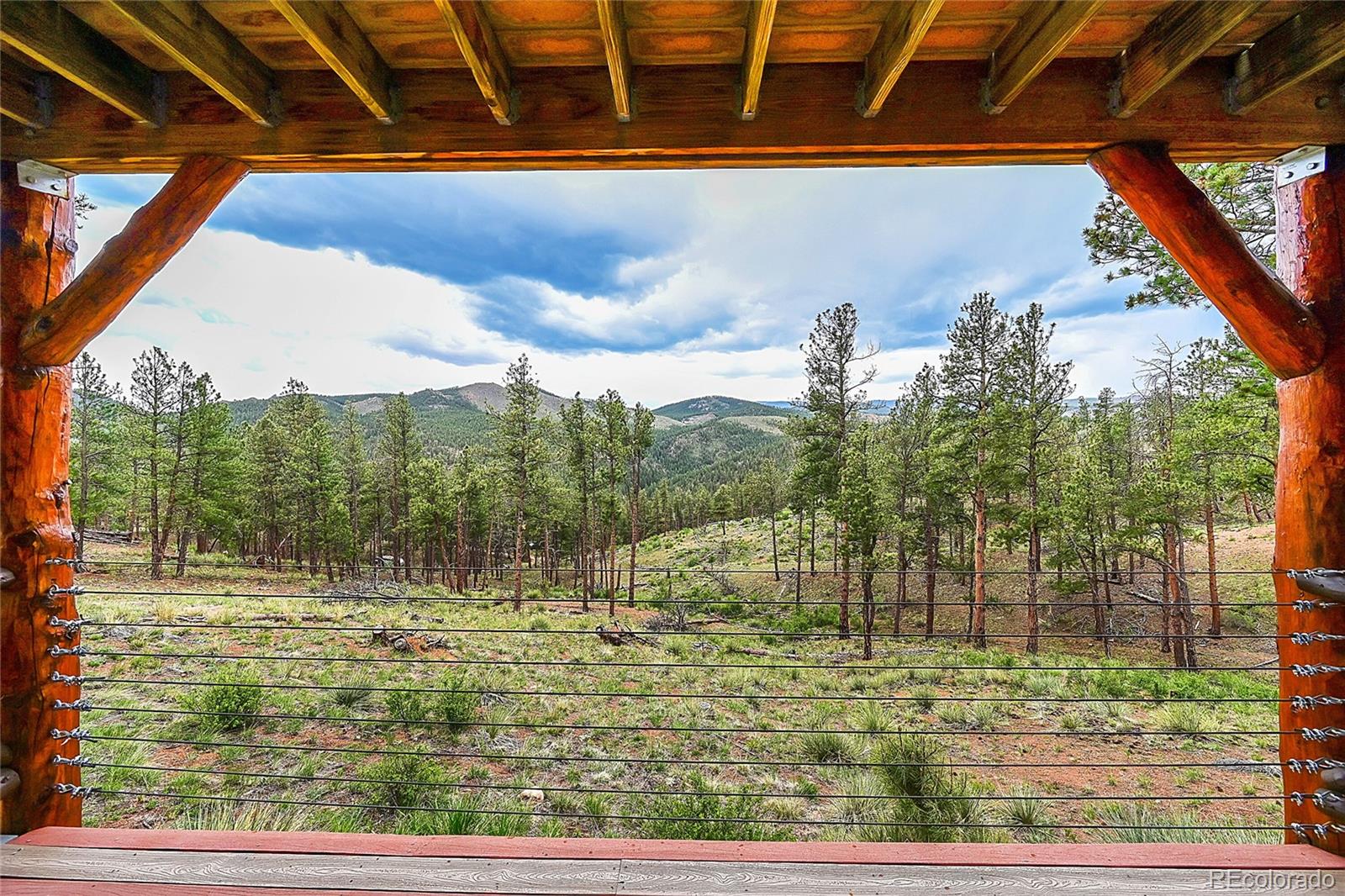 MLS Image #9 for 29462  high road,pine, Colorado