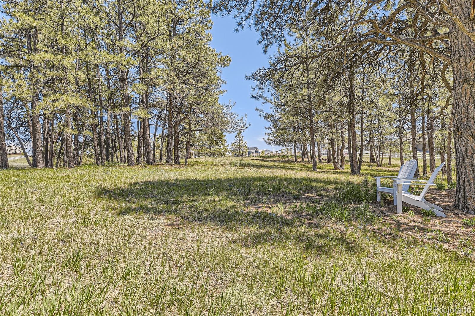 MLS Image #37 for 37242  pheasant run,elizabeth, Colorado