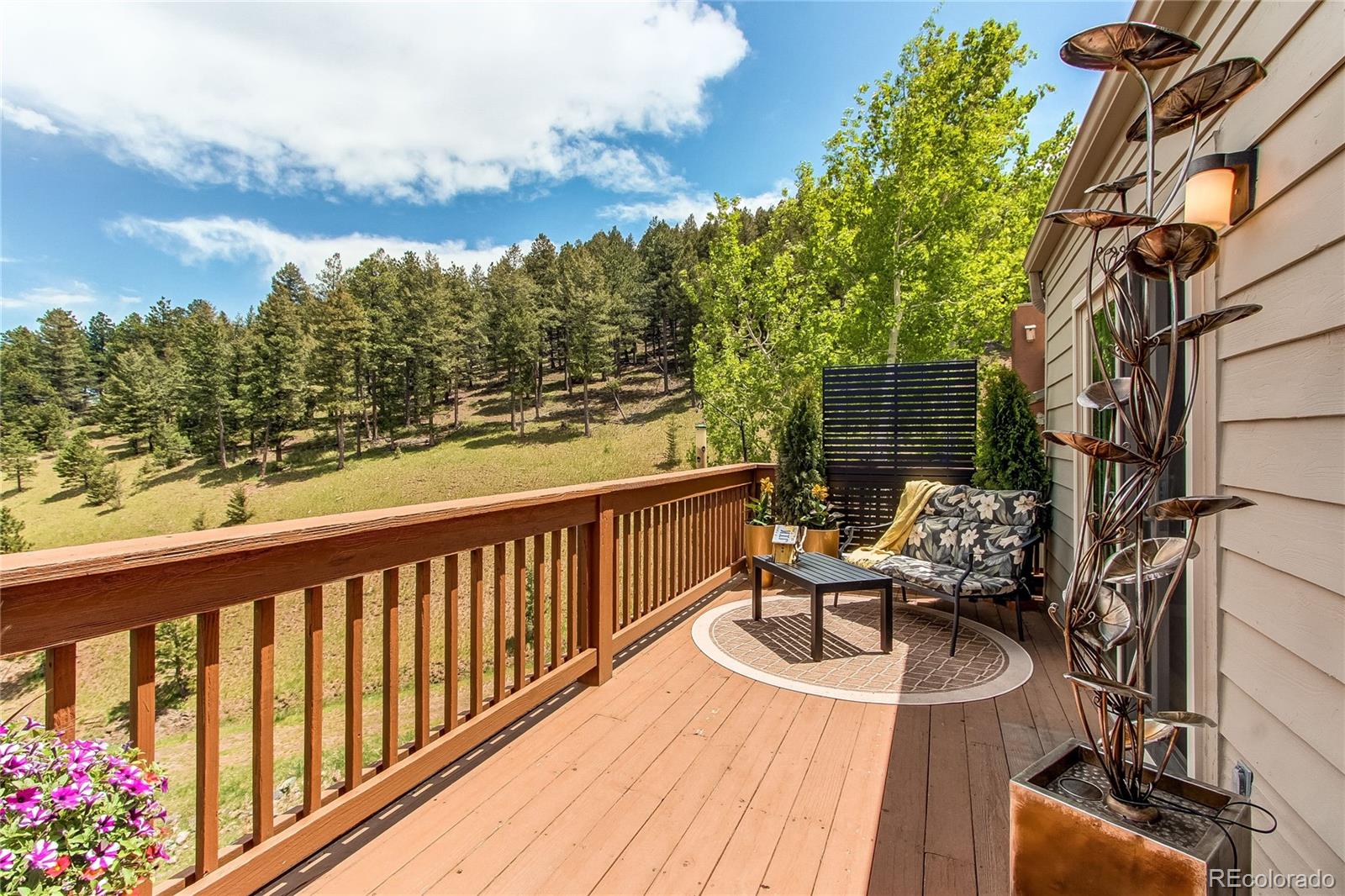 MLS Image #18 for 792  chimney creek drive,golden, Colorado