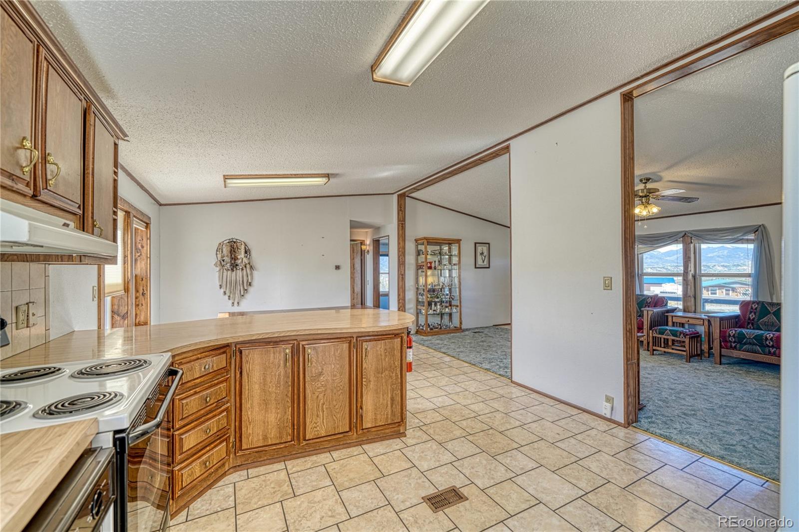 MLS Image #11 for 9960  piute drive,salida, Colorado