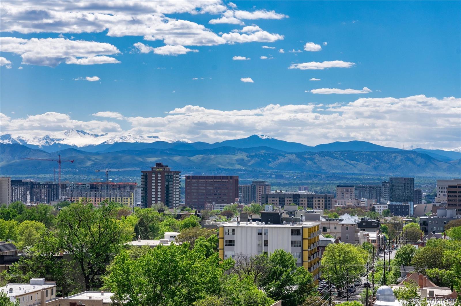 MLS Image #33 for 1313 n williams street,denver, Colorado