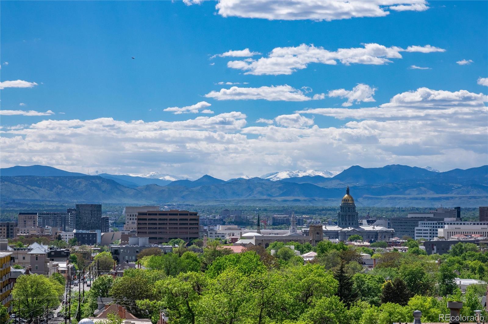 MLS Image #34 for 1313 n williams street,denver, Colorado