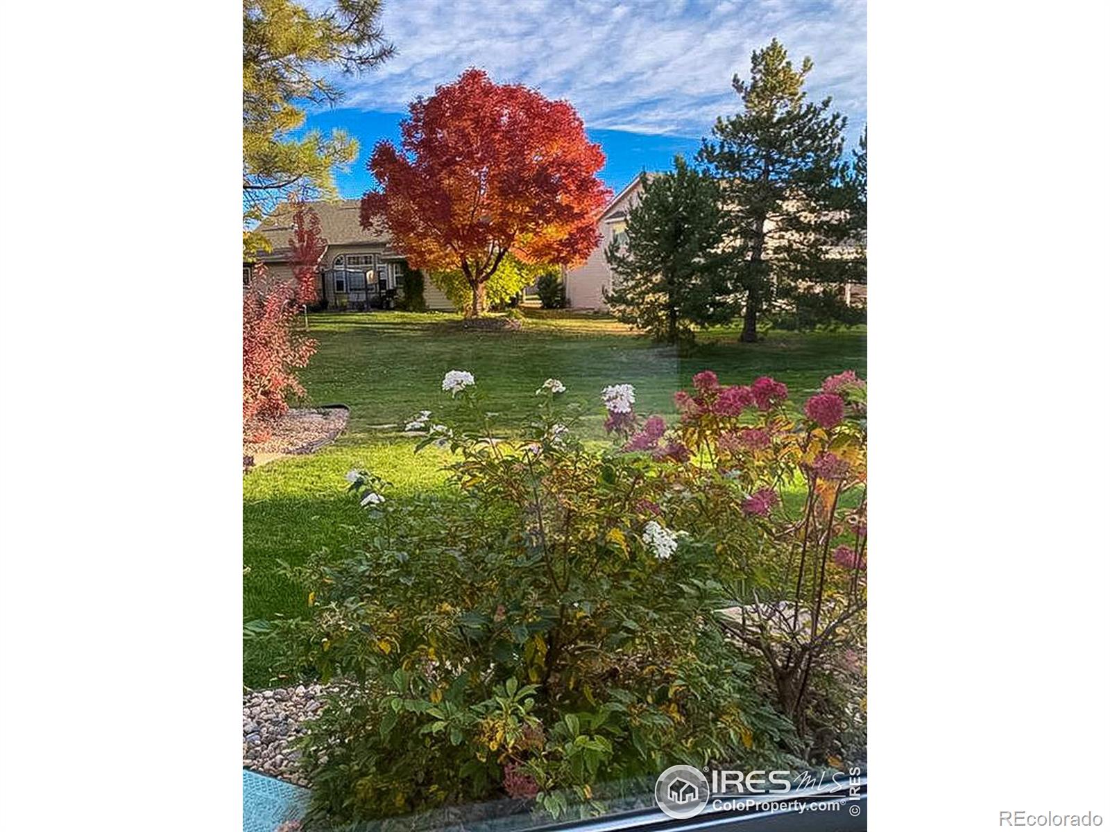 MLS Image #28 for 2531  glen isle drive,loveland, Colorado