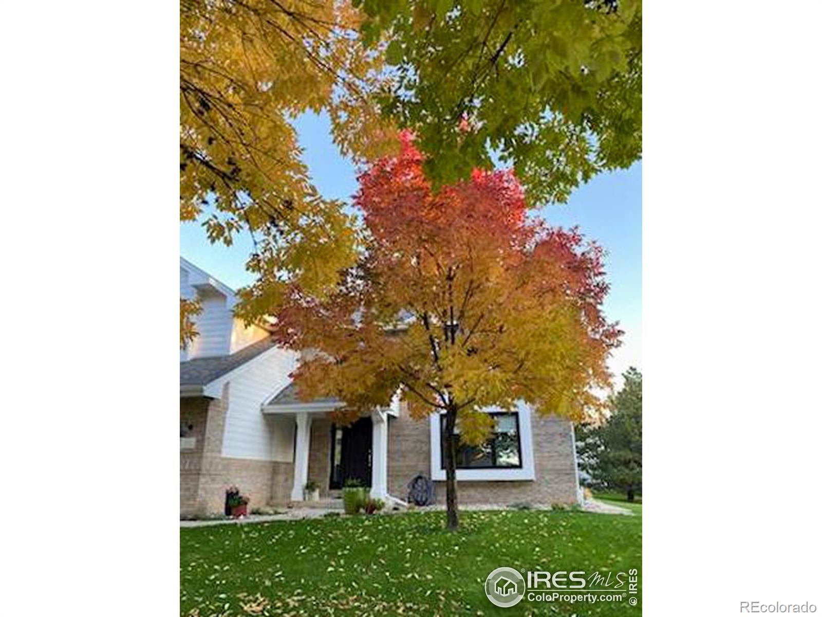 MLS Image #3 for 2531  glen isle drive,loveland, Colorado