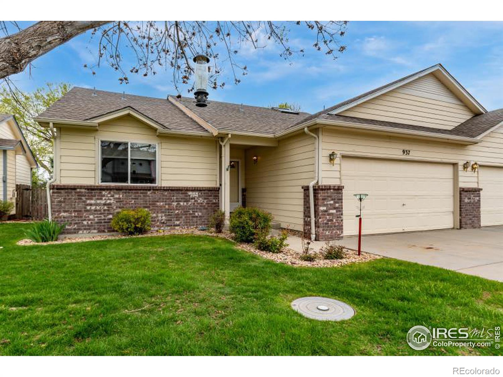 Report Image for 937  Parker Drive,Longmont, Colorado