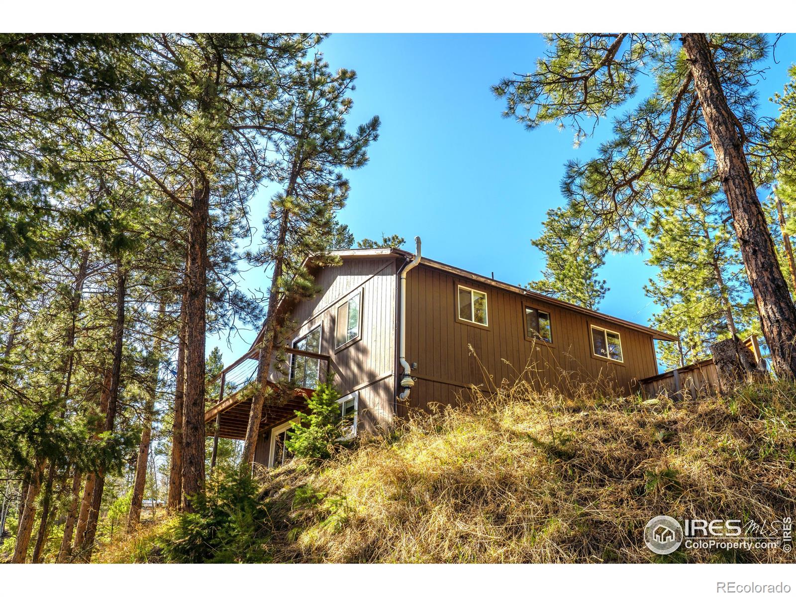 MLS Image #2 for 239  catamount ridge road,bailey, Colorado