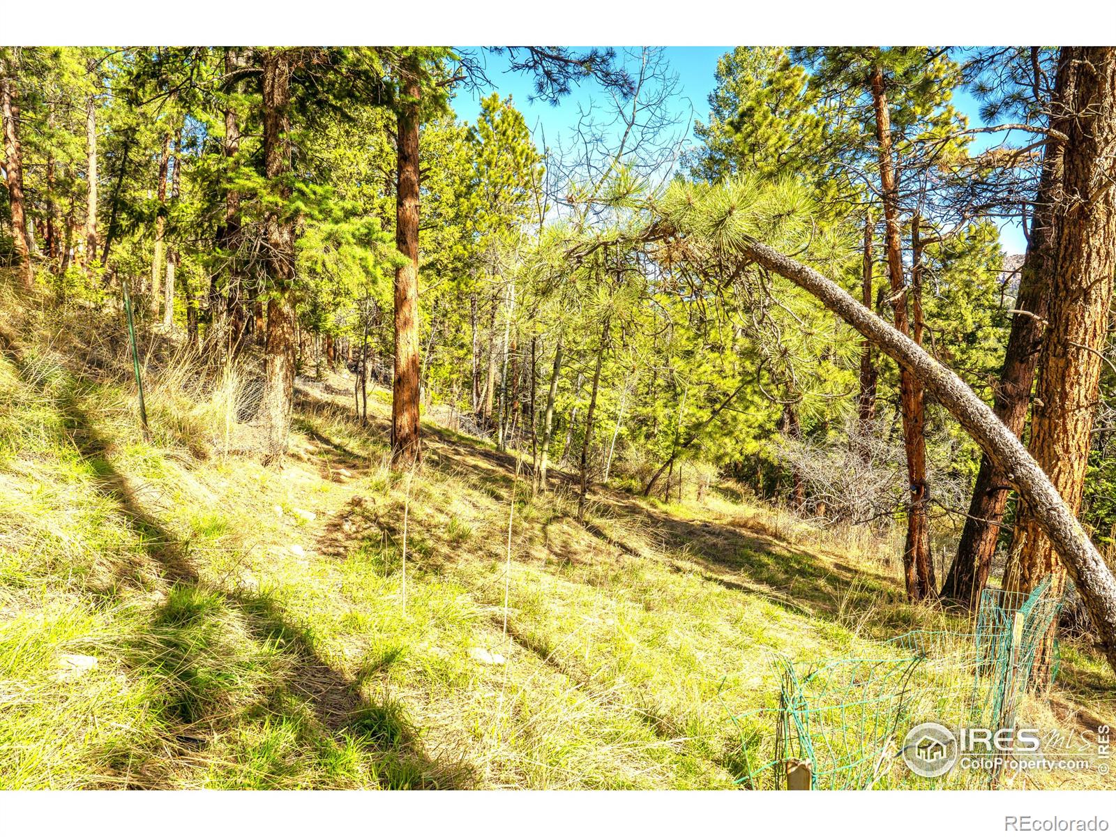 MLS Image #30 for 239  catamount ridge road,bailey, Colorado