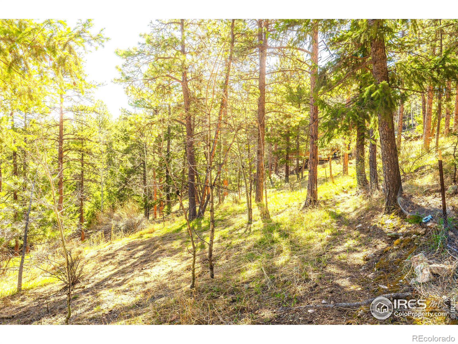 MLS Image #5 for 239  catamount ridge road,bailey, Colorado