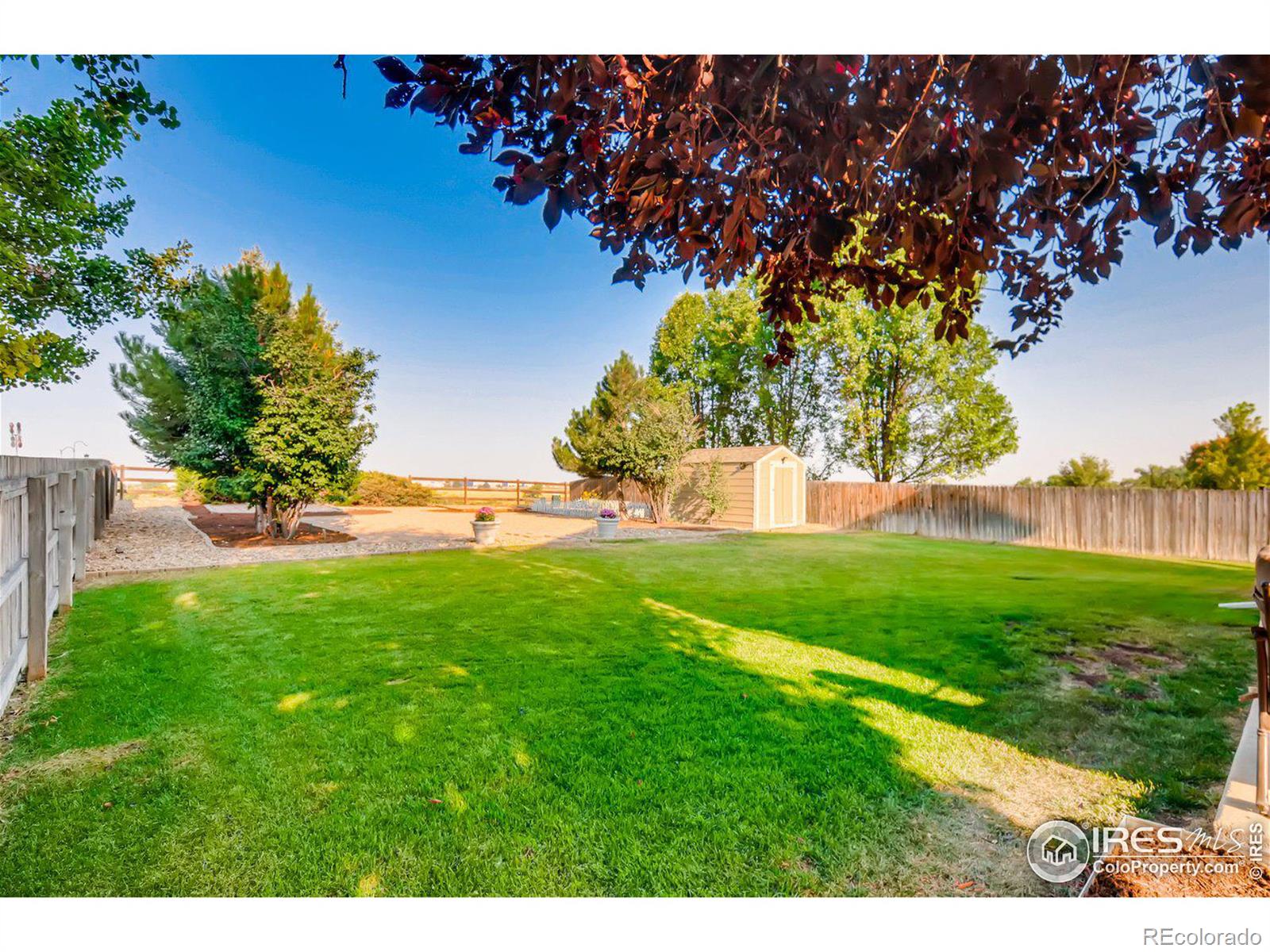 MLS Image #16 for 14555  williams street,thornton, Colorado