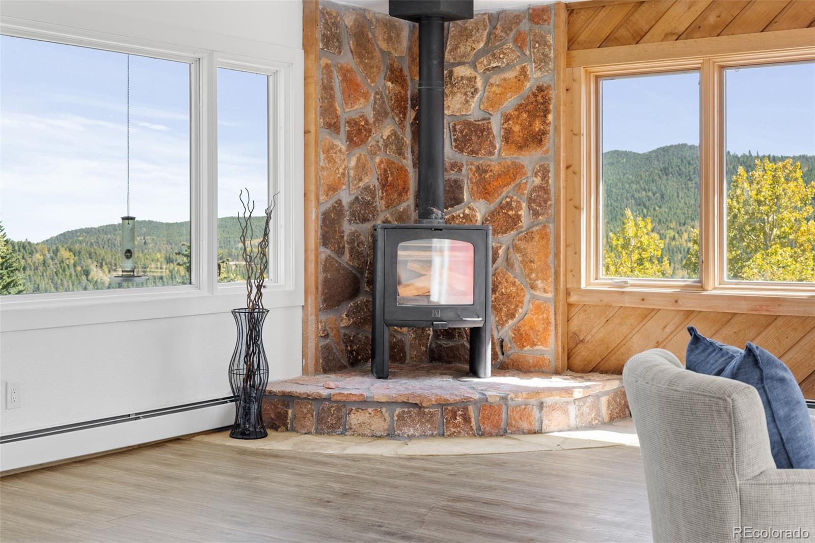 MLS Image #19 for 1042  lodgepole drive,evergreen, Colorado