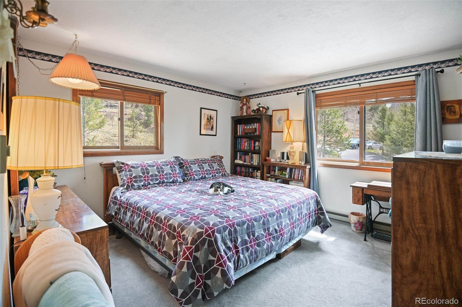 MLS Image #18 for 34506  highview drive,pine, Colorado