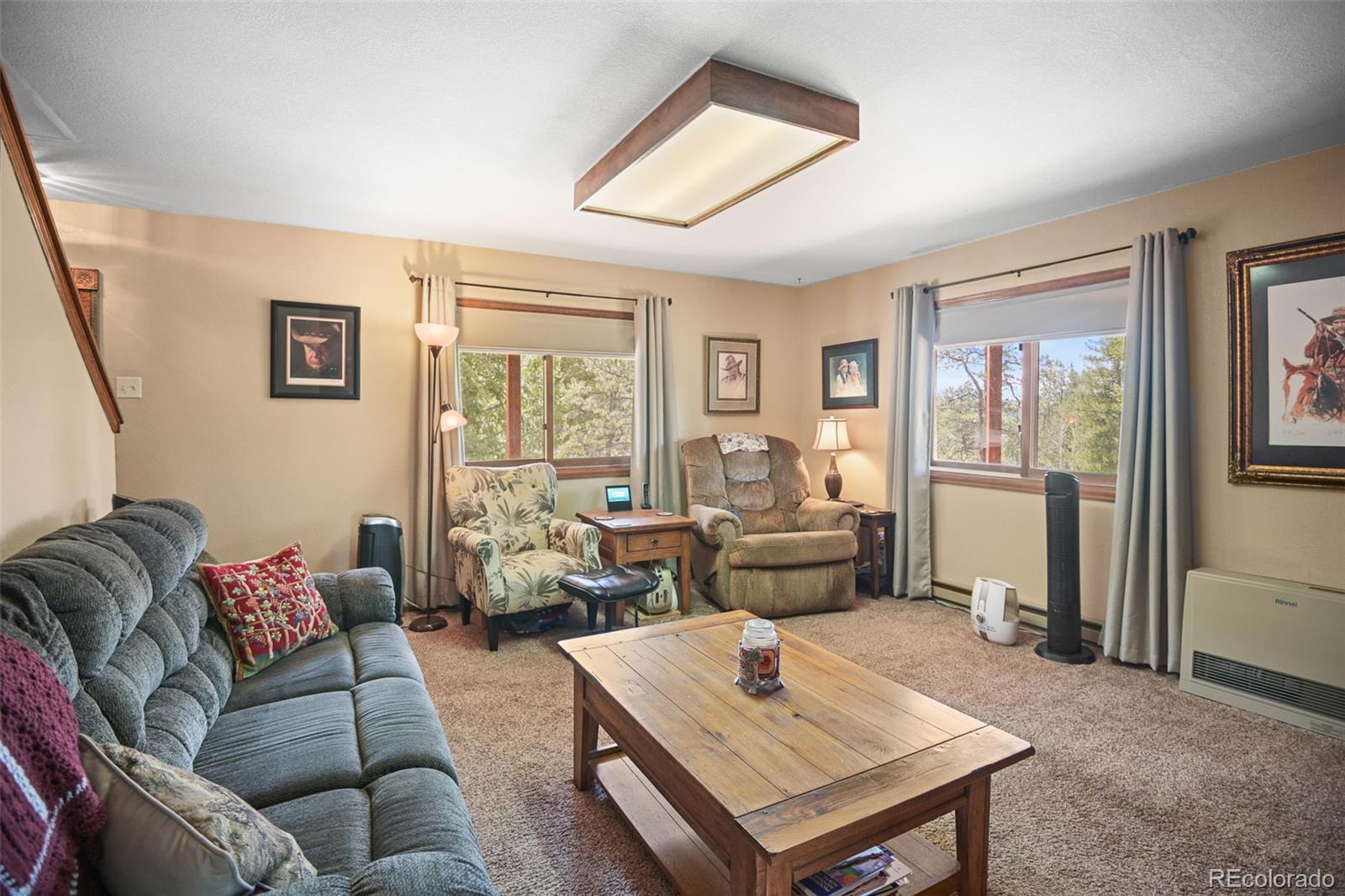 MLS Image #21 for 34506  highview drive,pine, Colorado