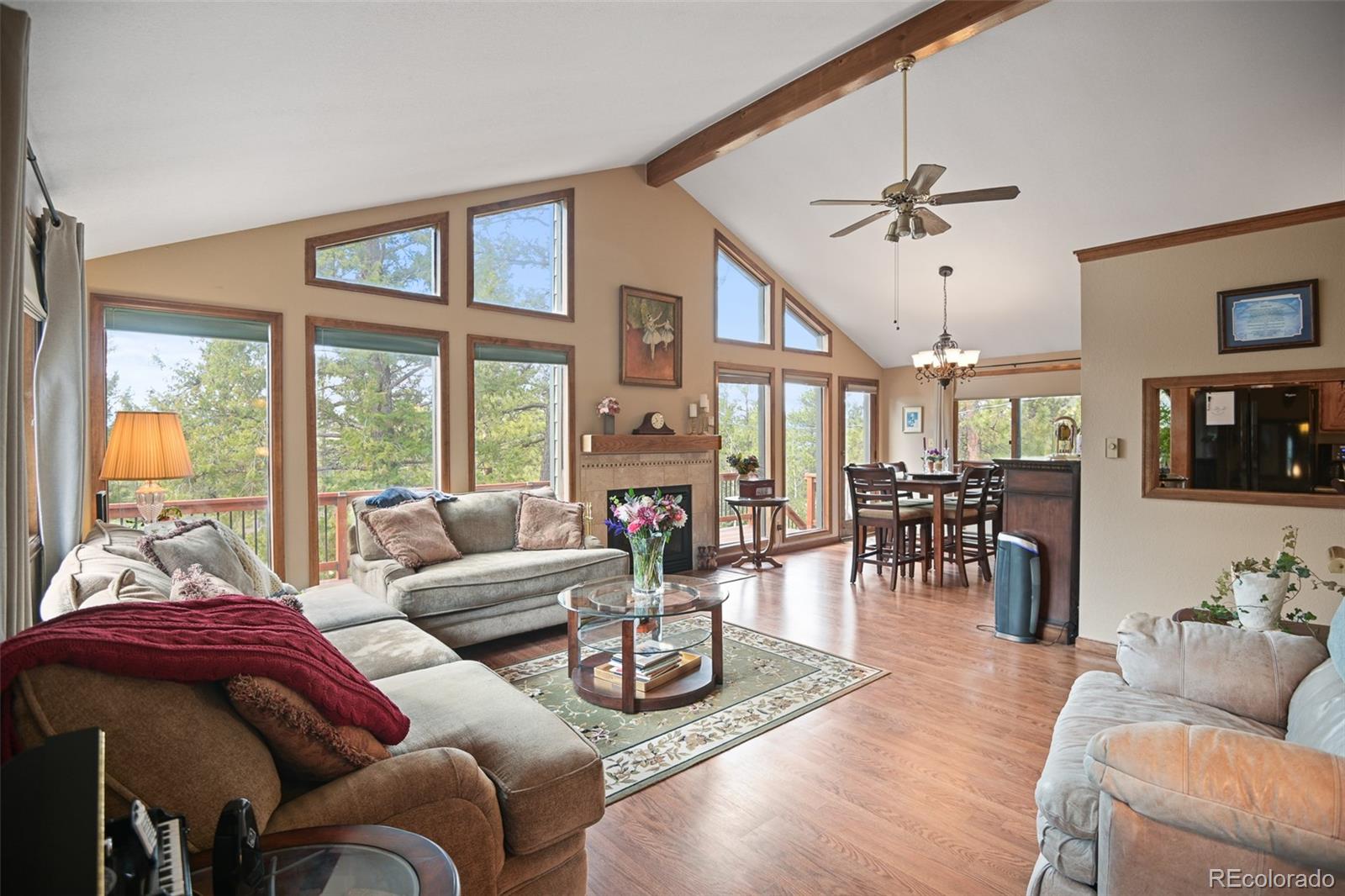 MLS Image #4 for 34506  highview drive,pine, Colorado