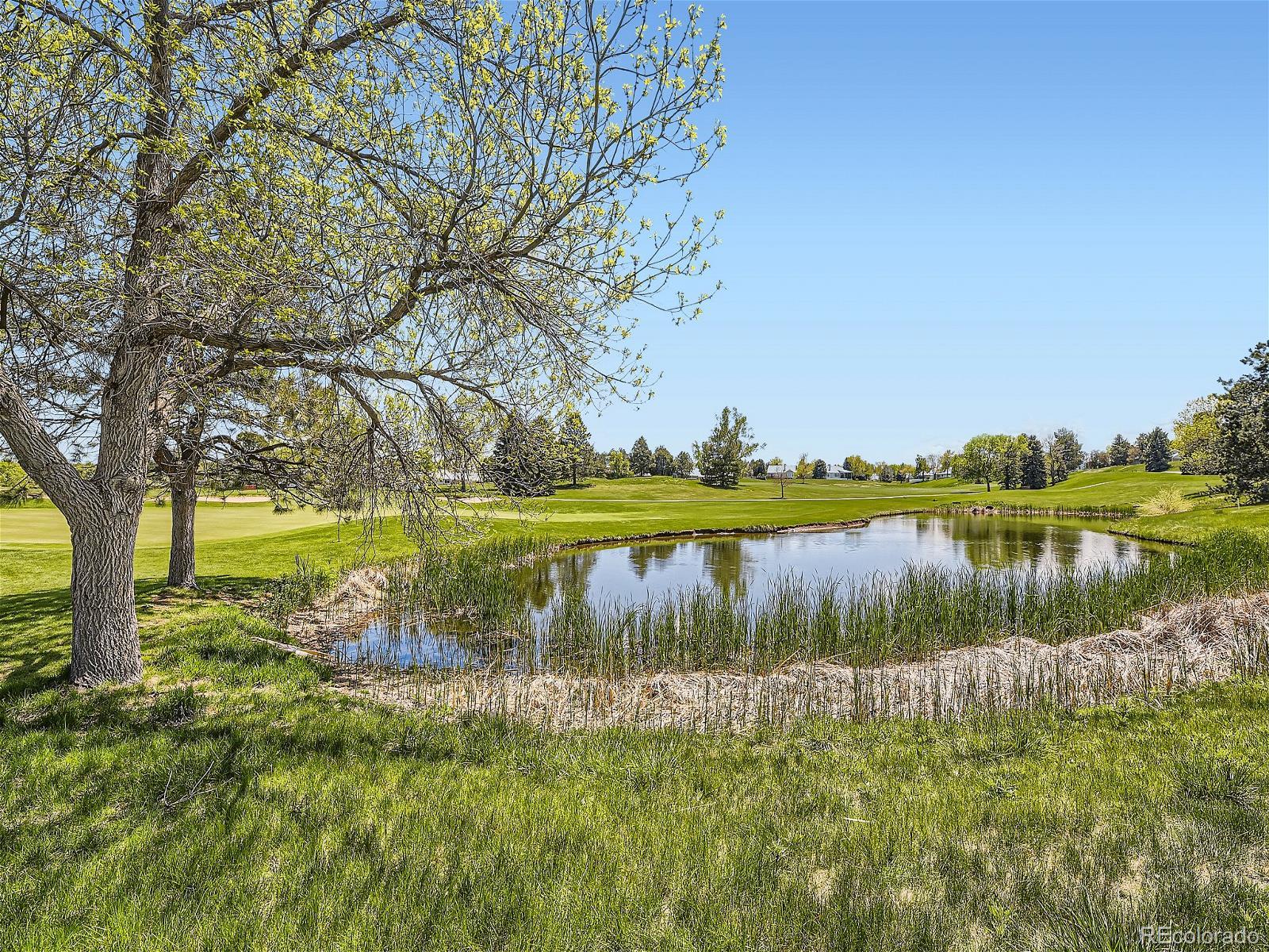 MLS Image #31 for 7  skye place,highlands ranch, Colorado