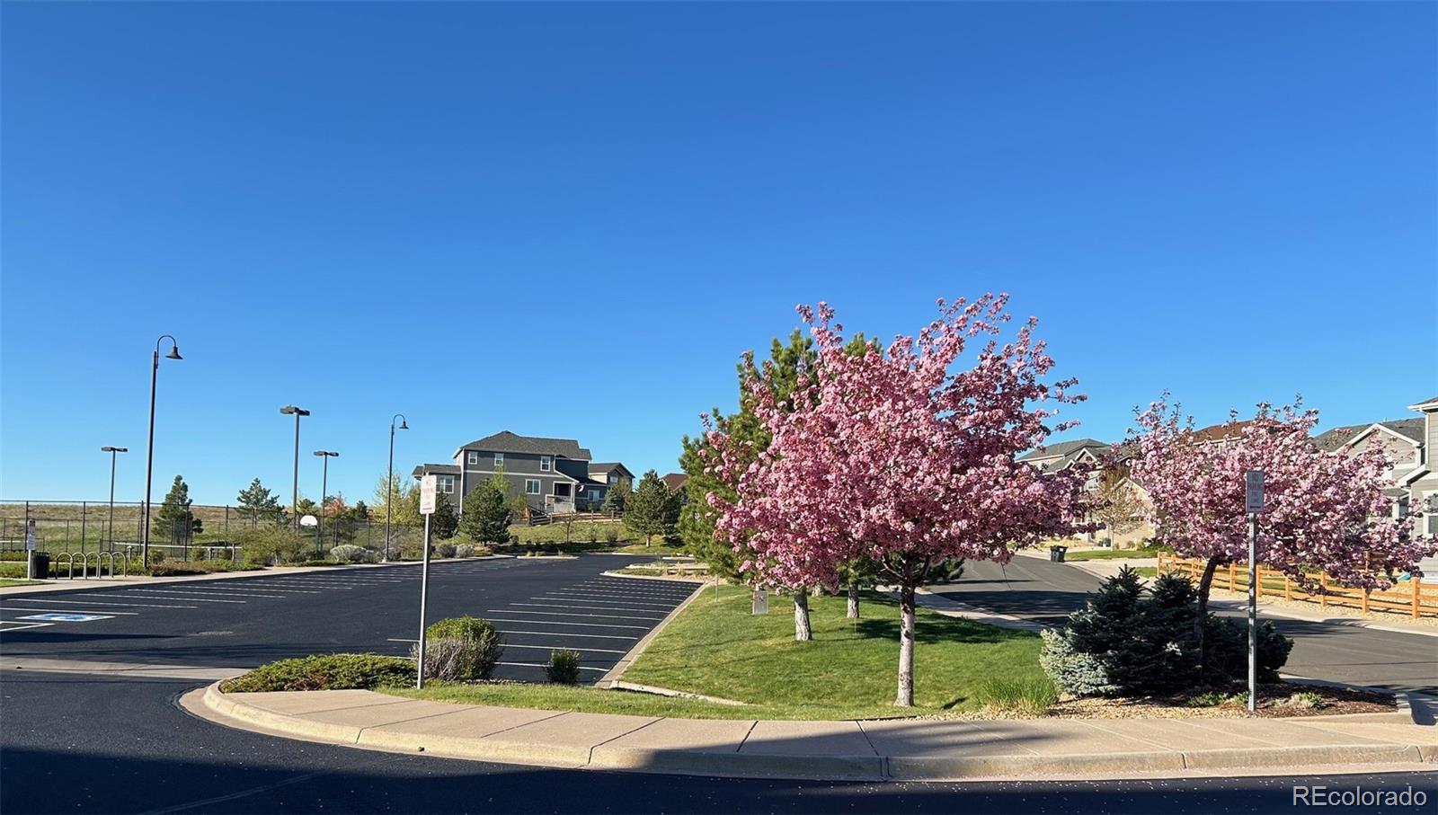 MLS Image #27 for 7443  bandit drive,castle rock, Colorado