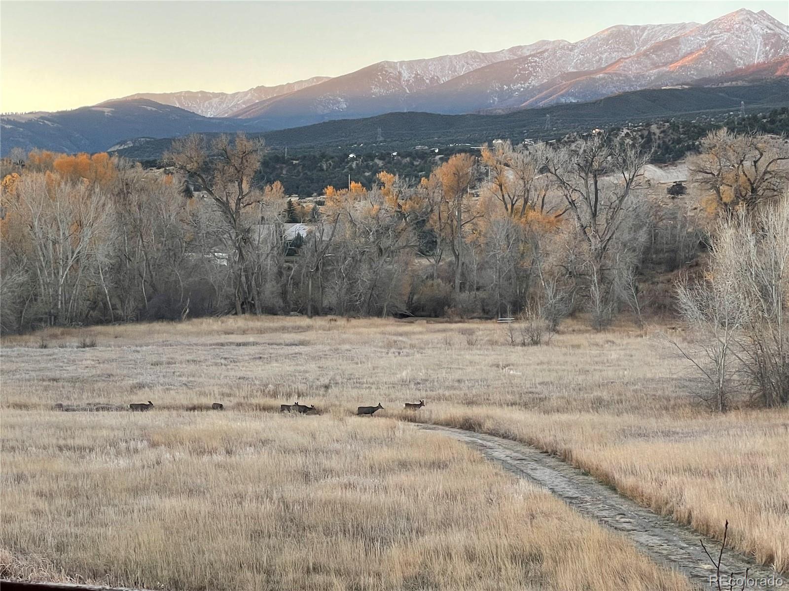 MLS Image #37 for 113  m and m lane,salida, Colorado