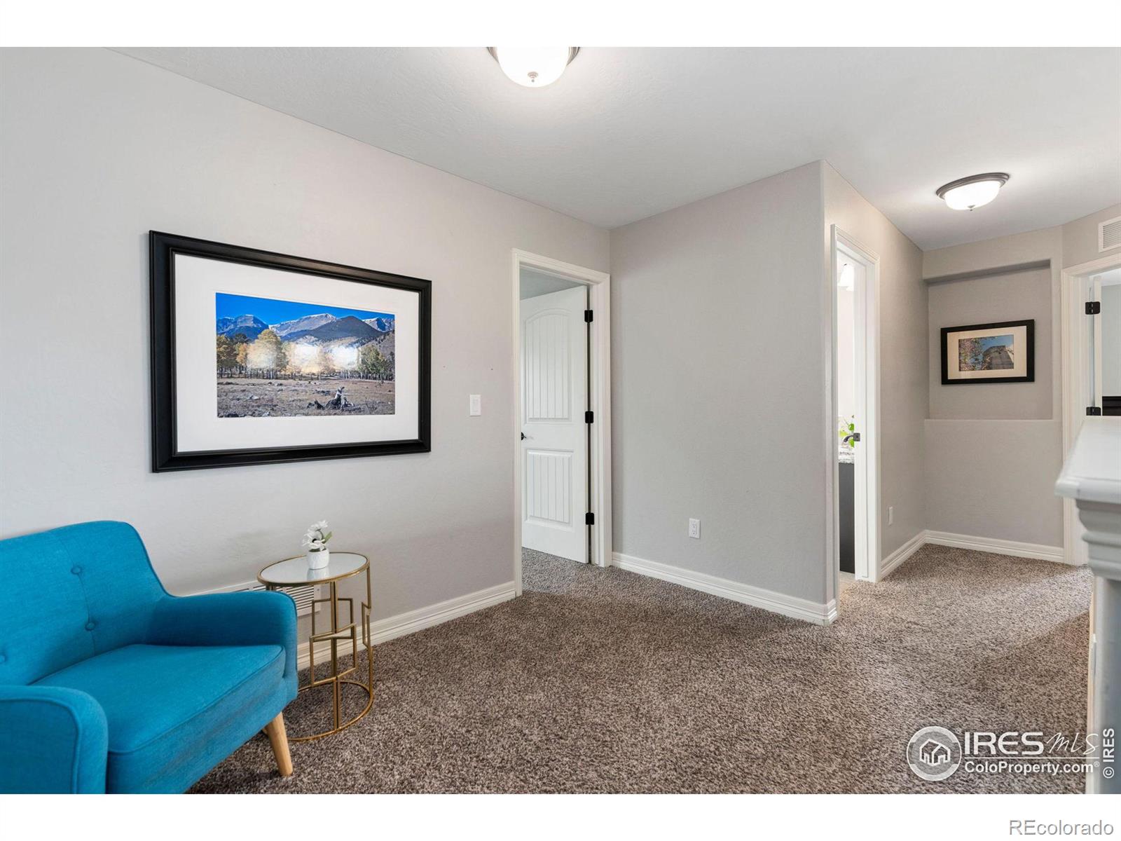 MLS Image #10 for 4373  chicory court,johnstown, Colorado
