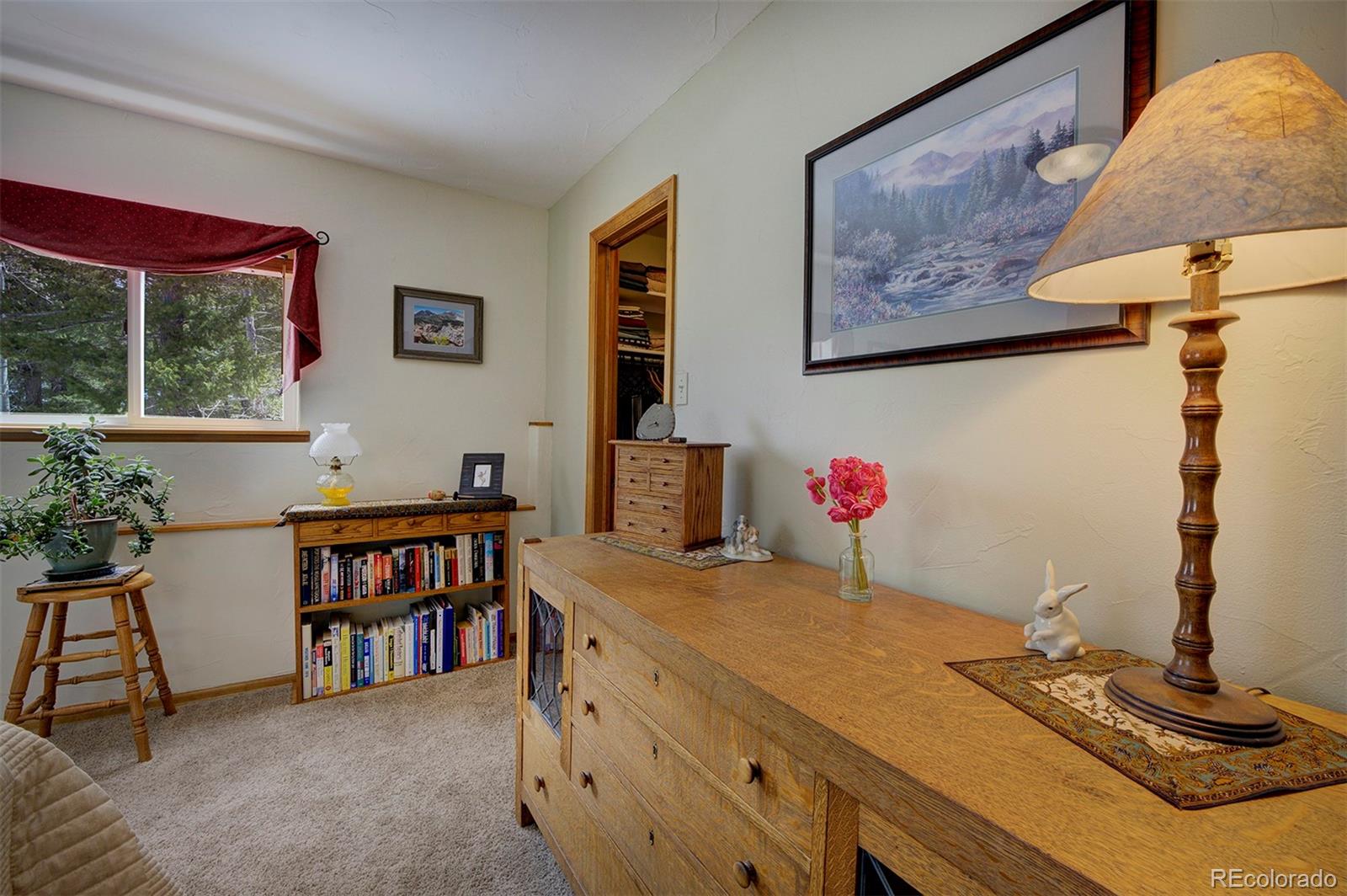 MLS Image #19 for 220  iris drive,bailey, Colorado