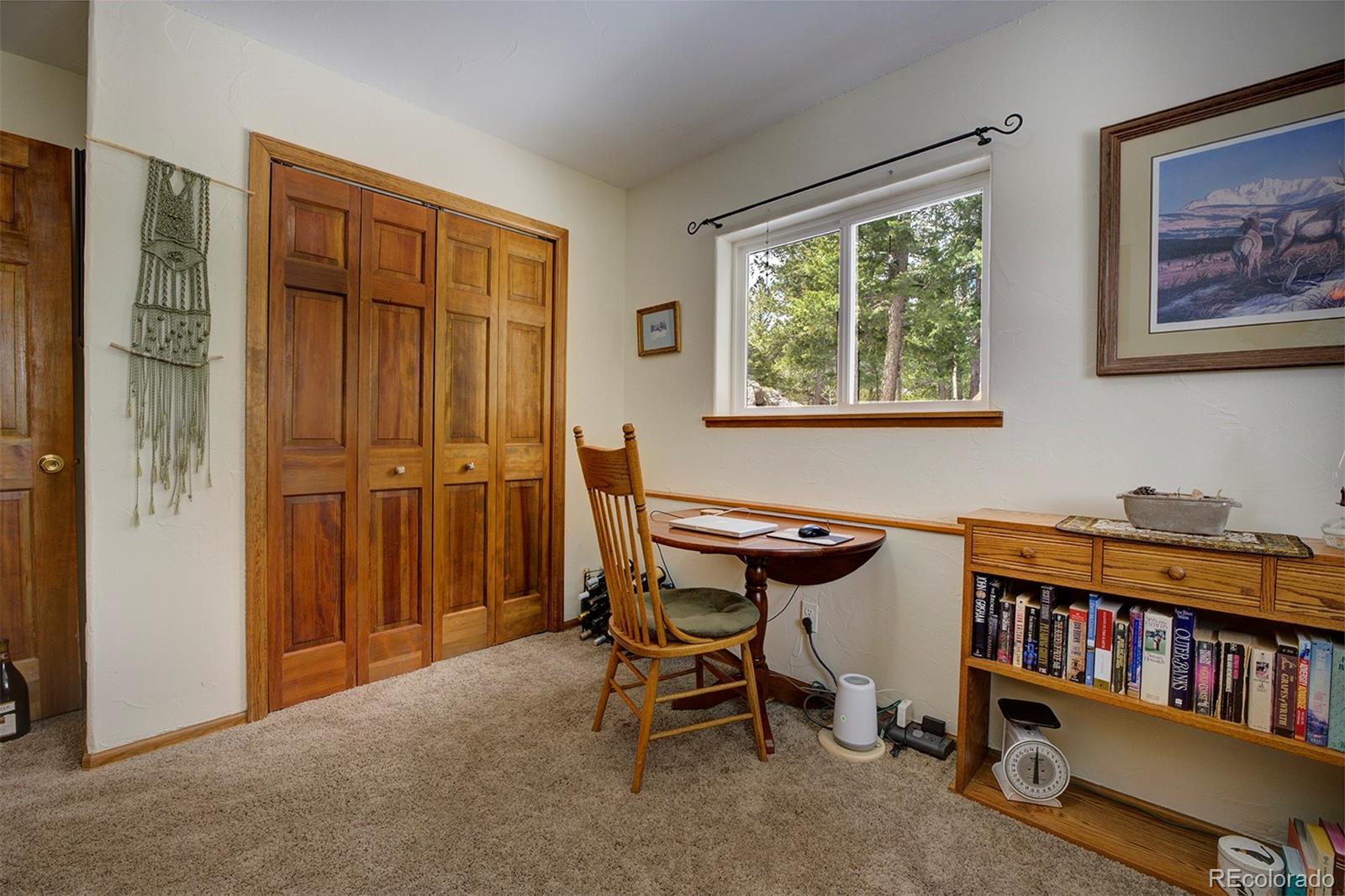 MLS Image #22 for 220  iris drive,bailey, Colorado