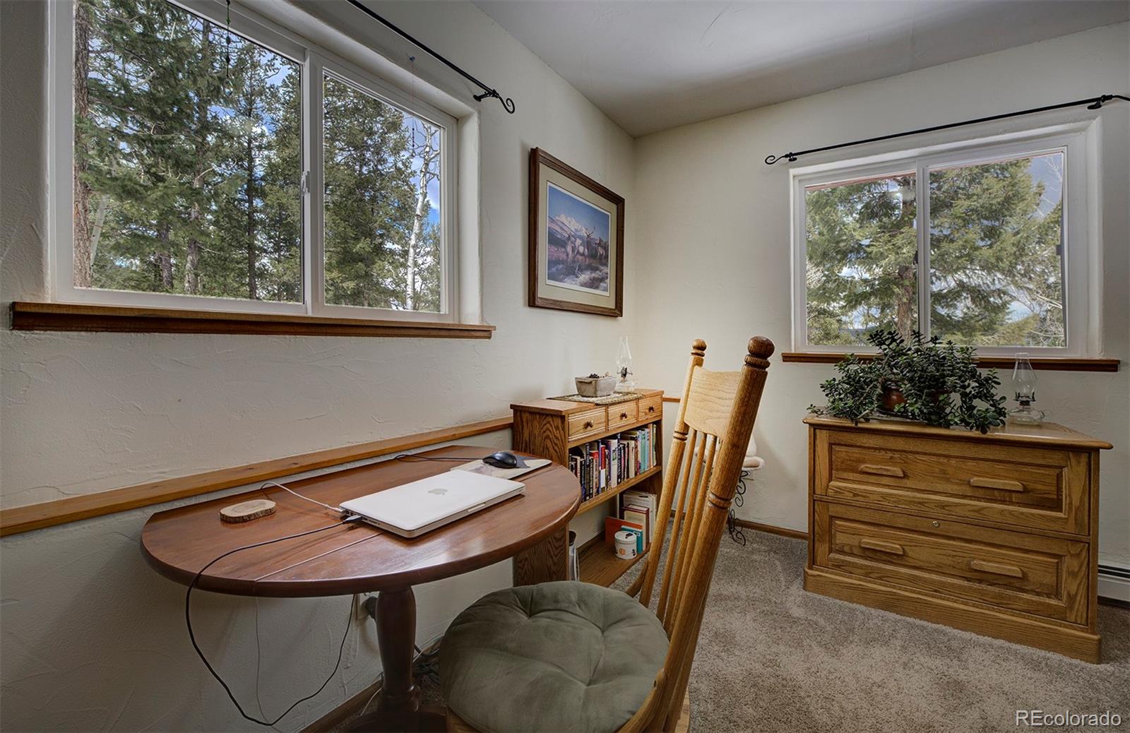 MLS Image #23 for 220  iris drive,bailey, Colorado