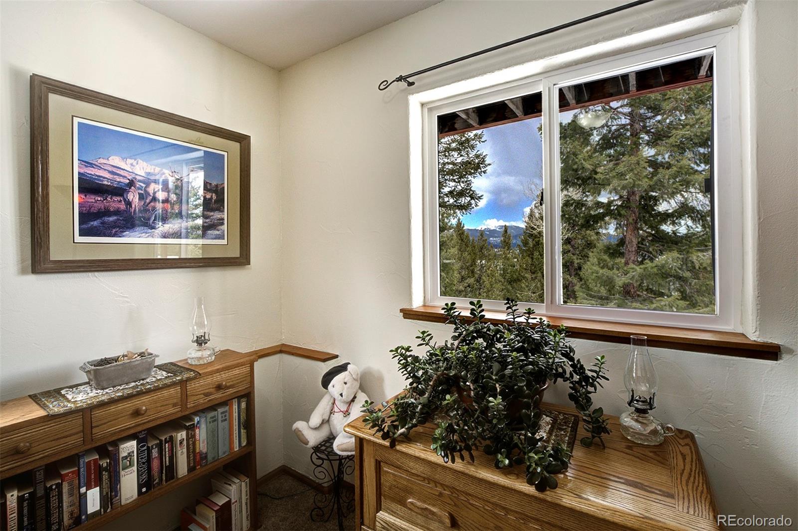 MLS Image #24 for 220  iris drive,bailey, Colorado