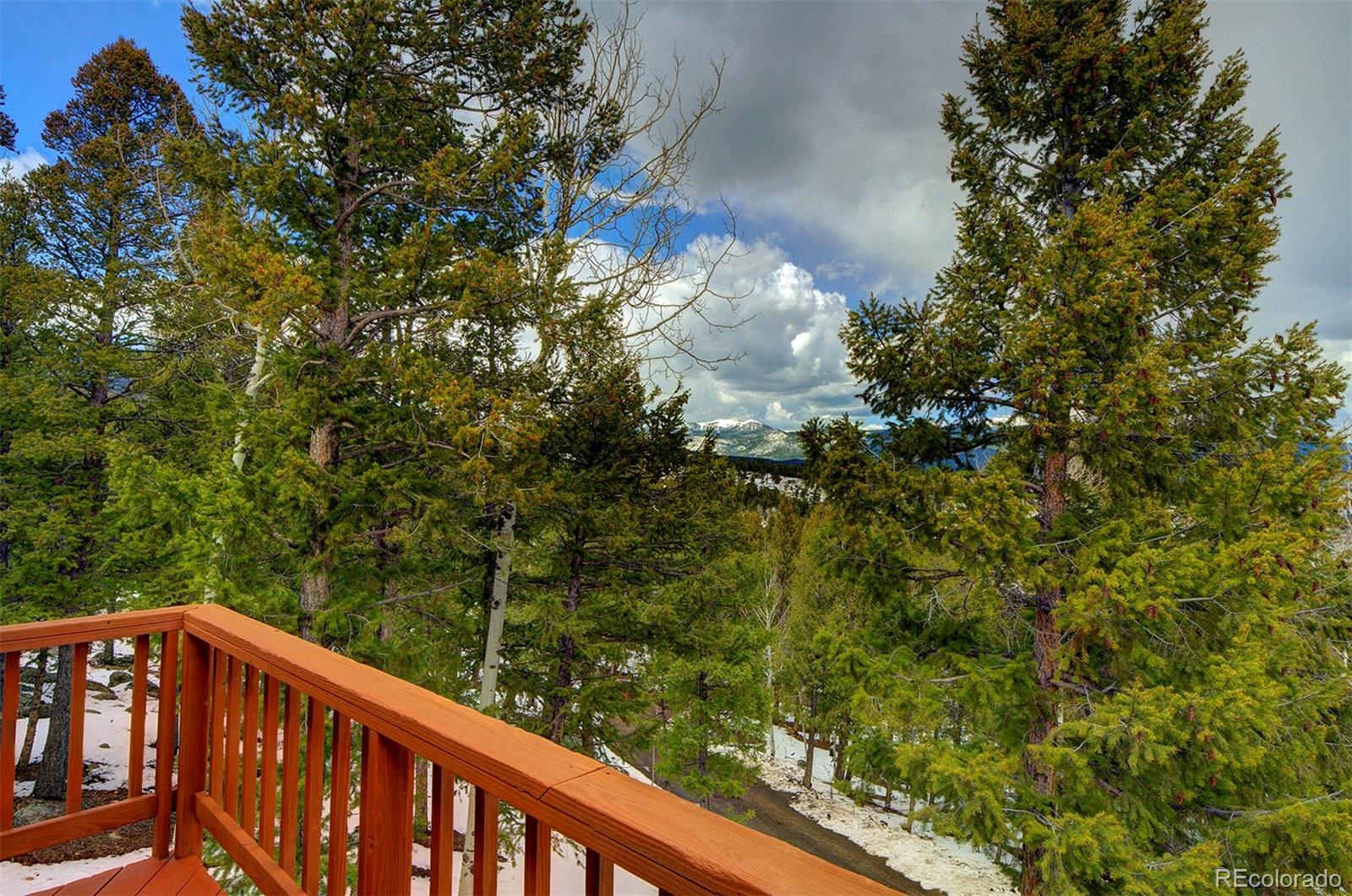 MLS Image #32 for 220  iris drive,bailey, Colorado