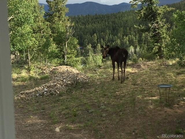 MLS Image #36 for 220  iris drive,bailey, Colorado