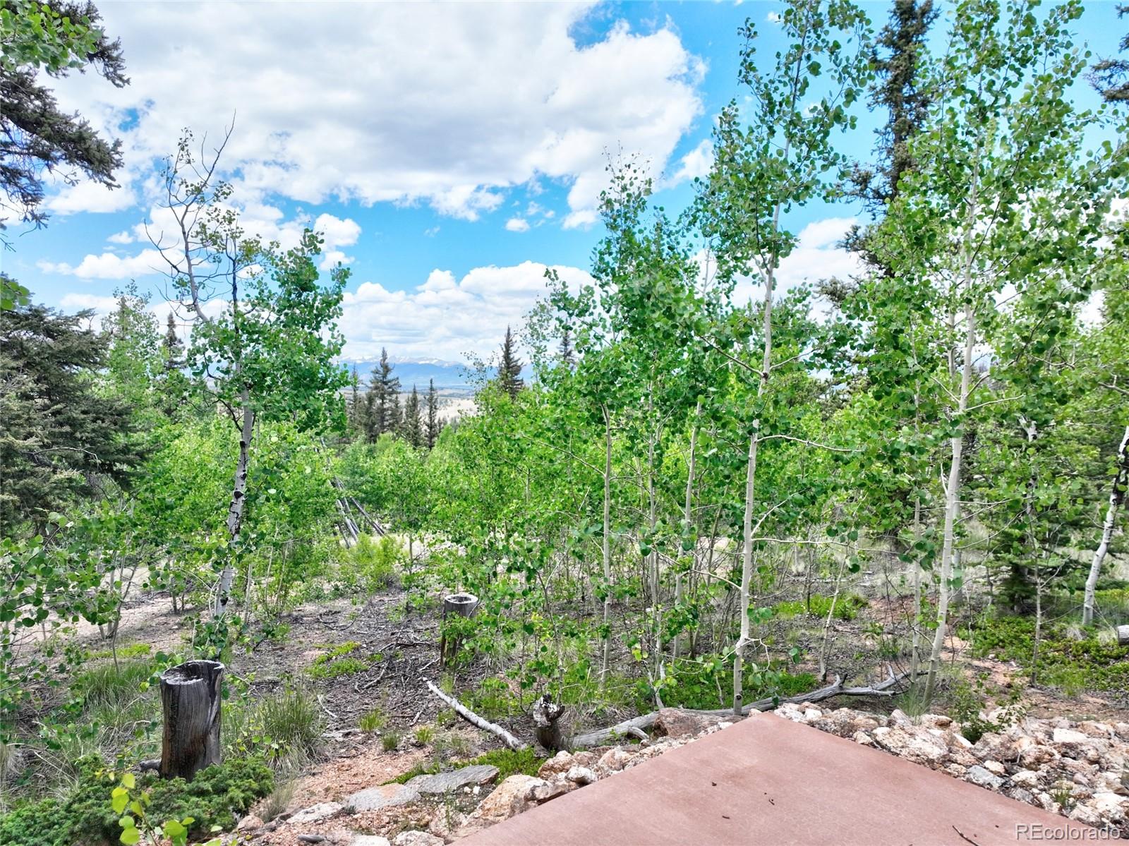 MLS Image #37 for 756 n quarter horse road,como, Colorado