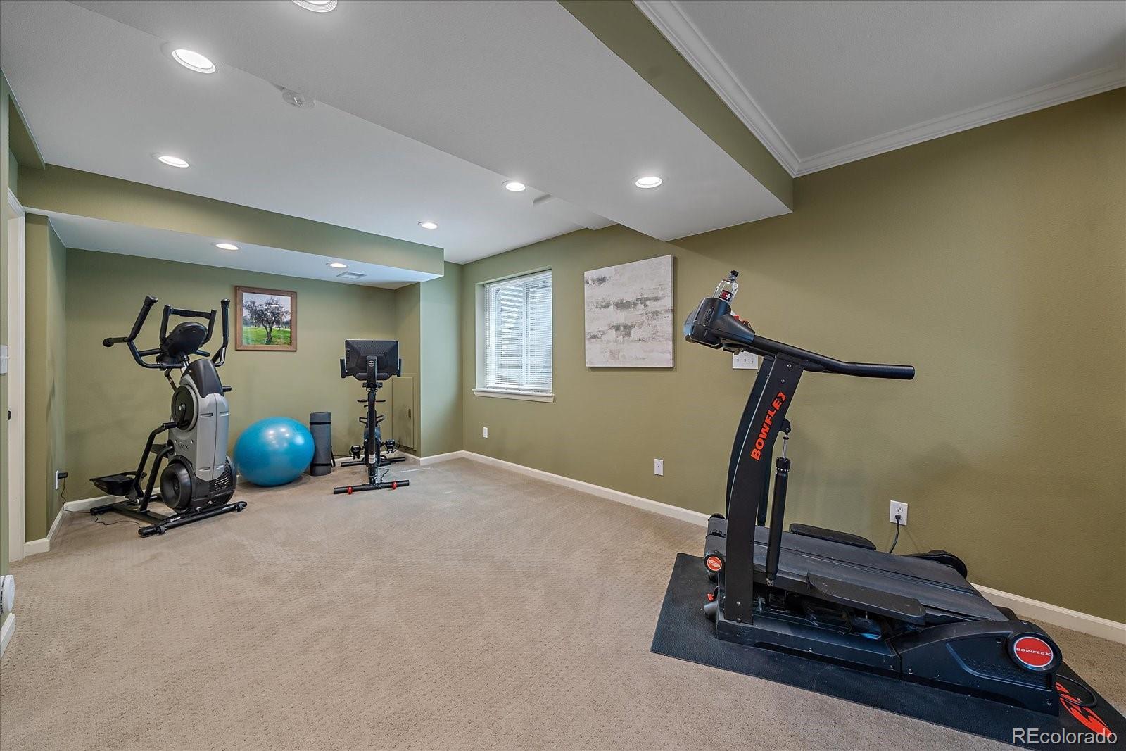 MLS Image #25 for 10039  deer creek street,highlands ranch, Colorado