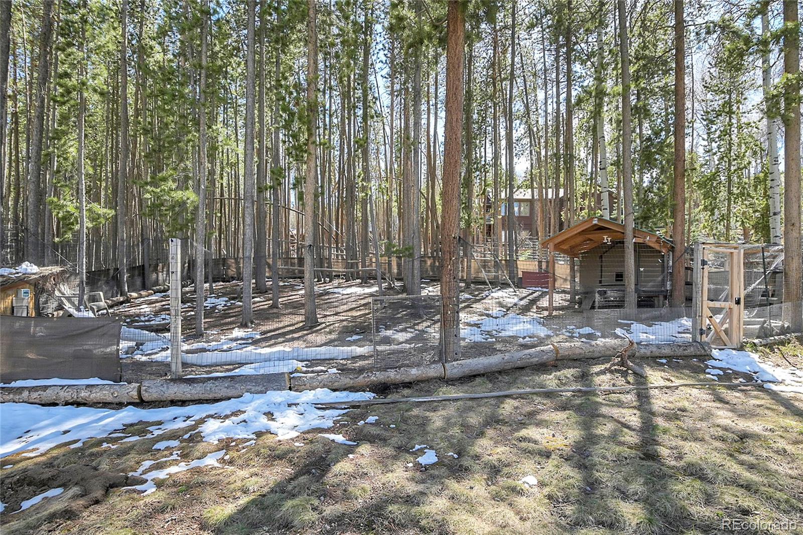 MLS Image #41 for 35008  forest estates road,evergreen, Colorado