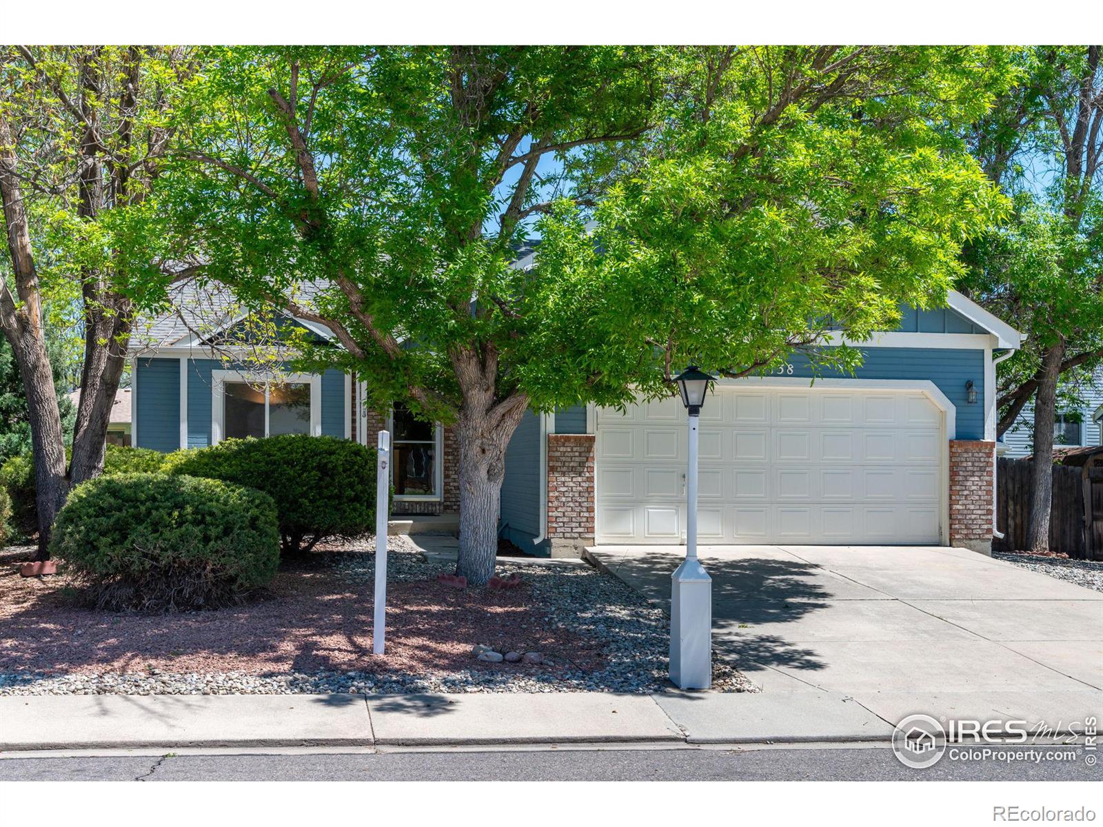 MLS Image #0 for 2138  daley drive,longmont, Colorado