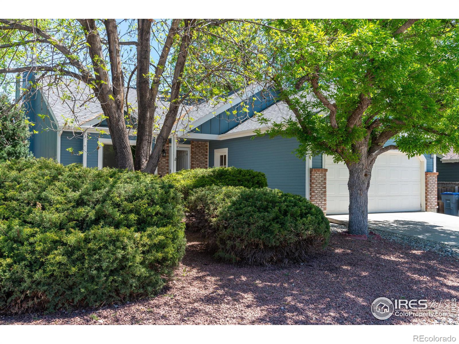 MLS Image #2 for 2138  daley drive,longmont, Colorado