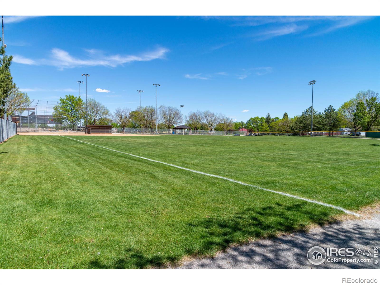 MLS Image #28 for 2138  daley drive,longmont, Colorado