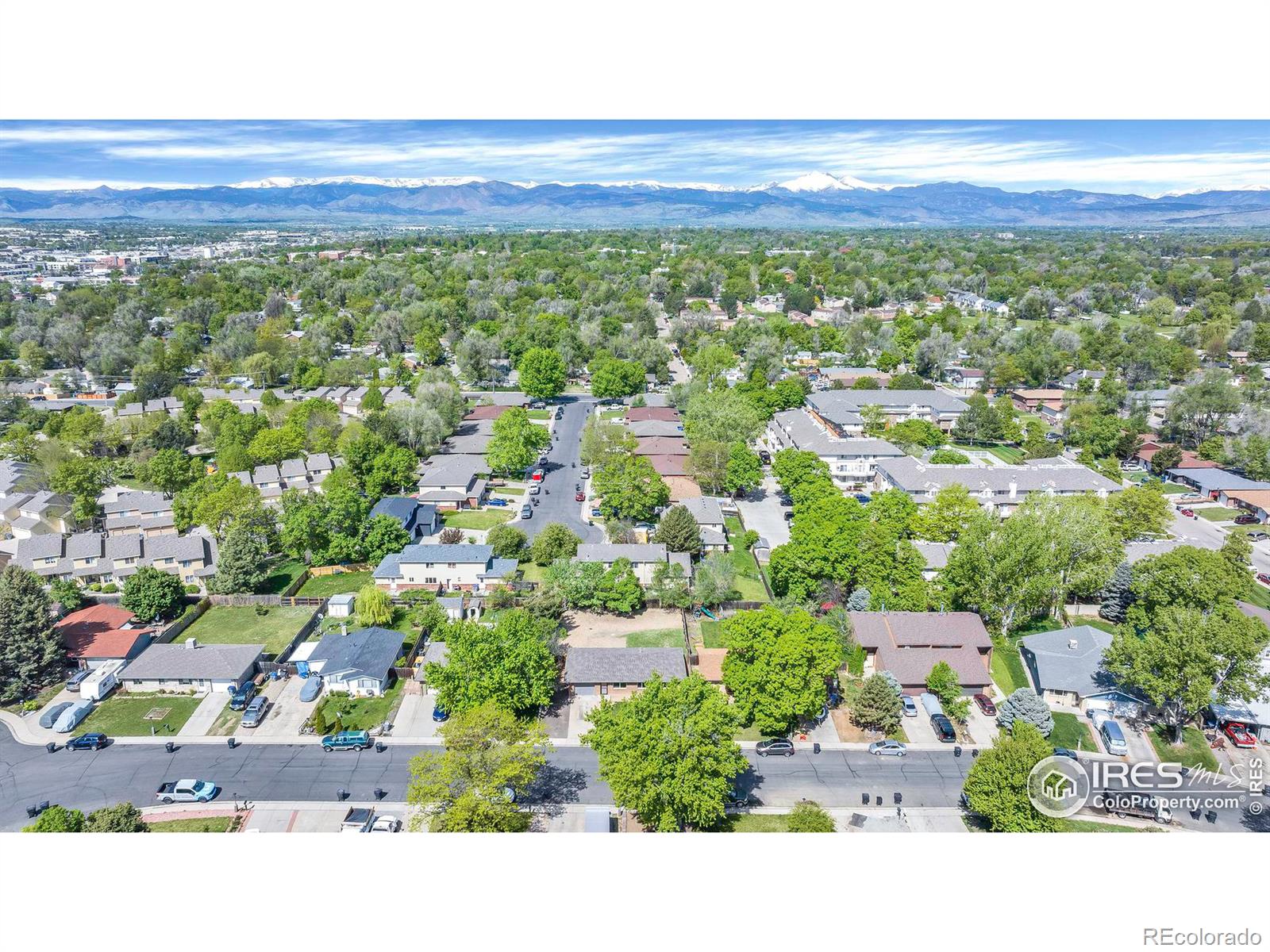 MLS Image #3 for 567  mount evans street,longmont, Colorado