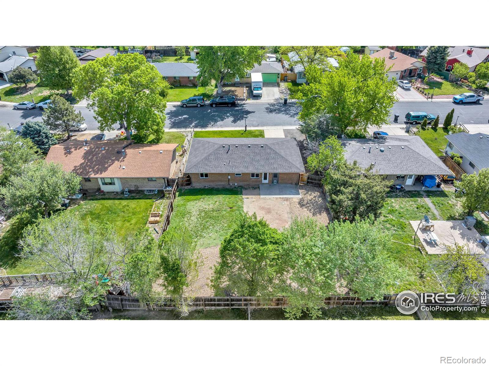 MLS Image #4 for 567  mount evans street,longmont, Colorado