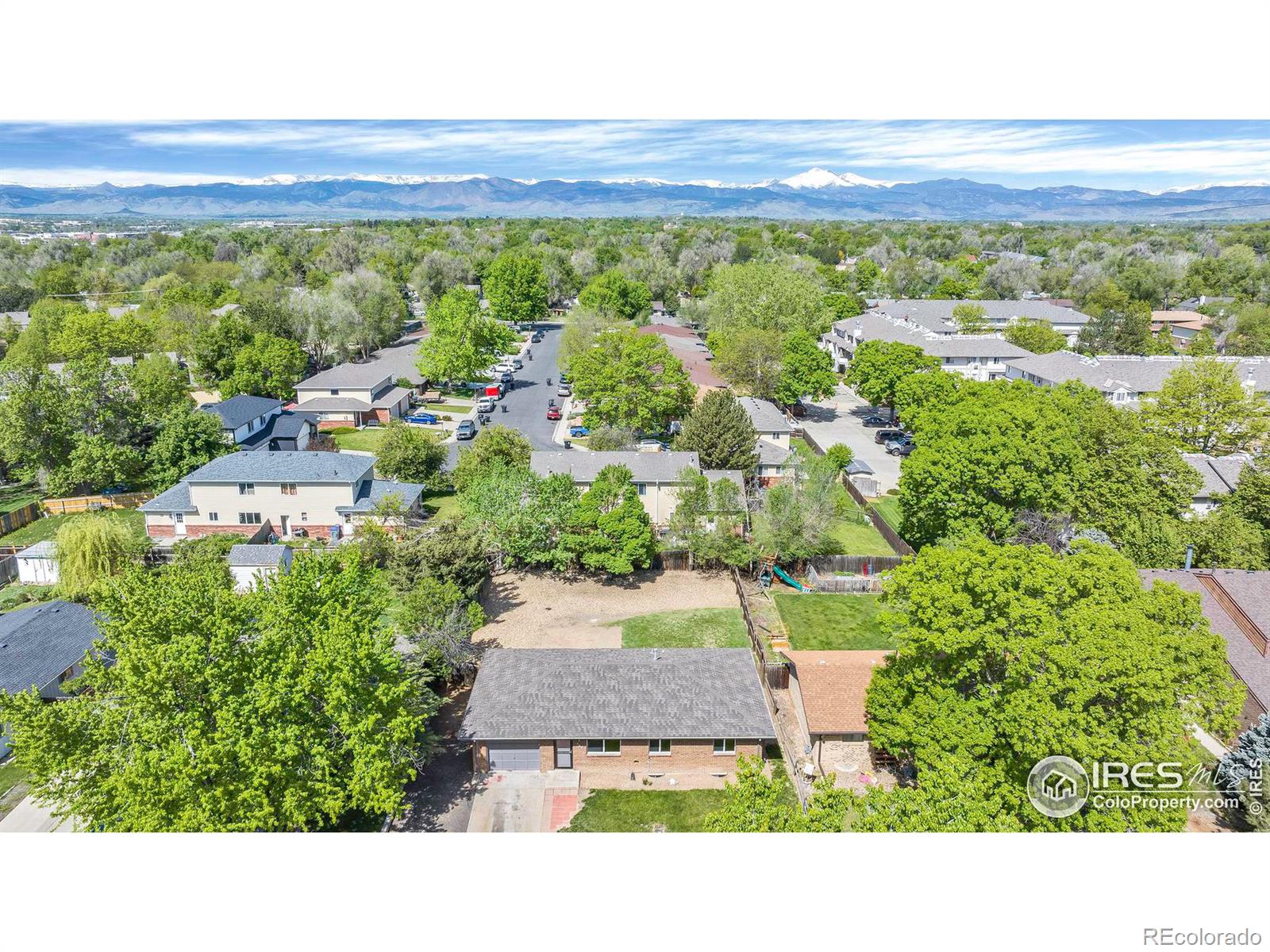 MLS Image #6 for 567  mount evans street,longmont, Colorado