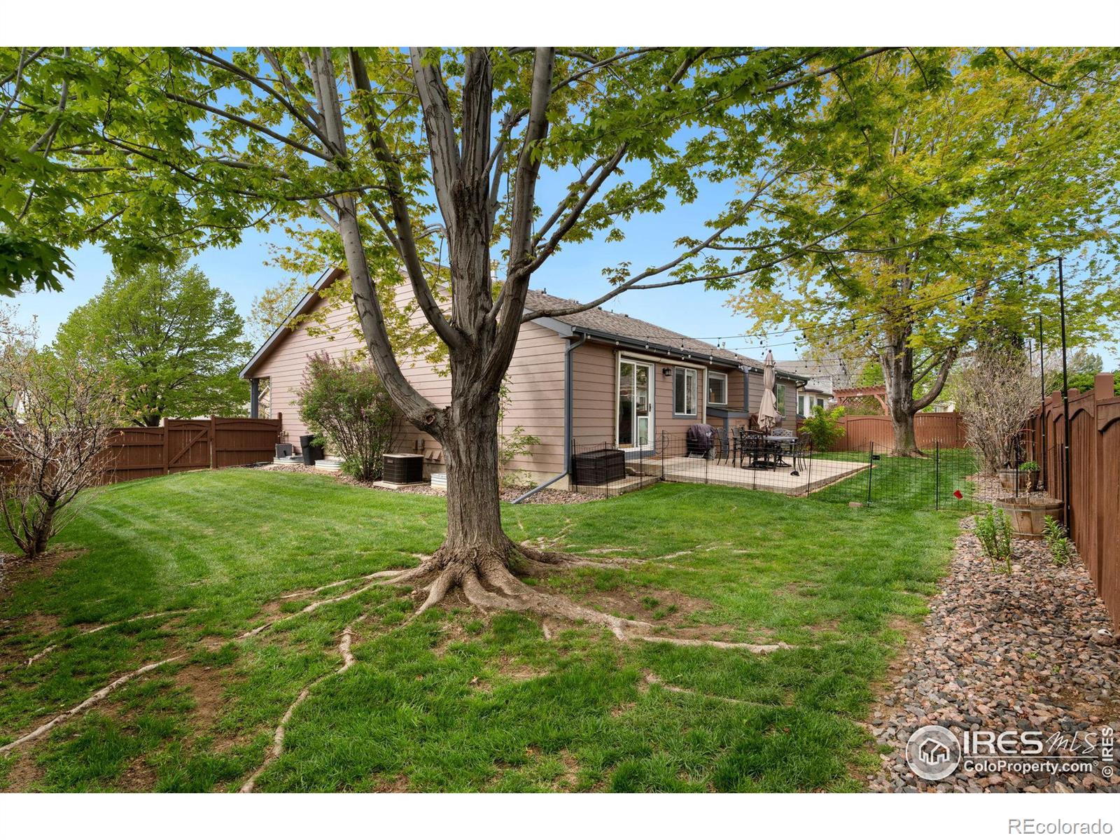 MLS Image #18 for 500  flagler road,fort collins, Colorado