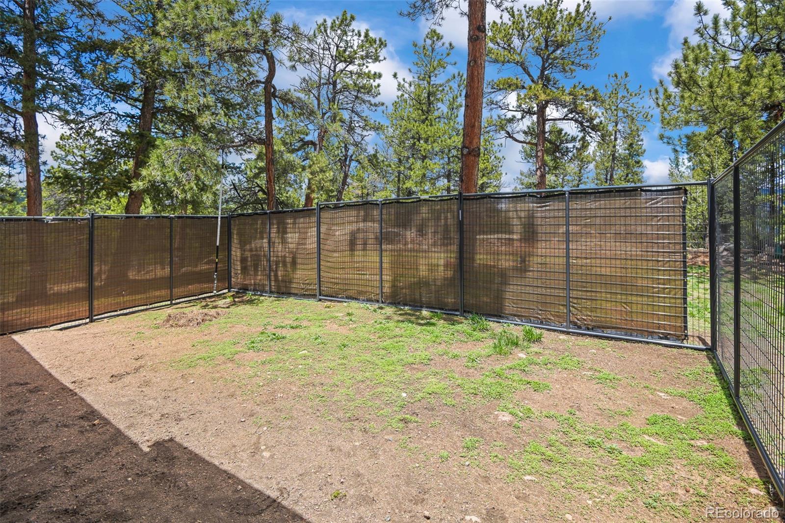 MLS Image #21 for 12806 s cindy avenue,pine, Colorado