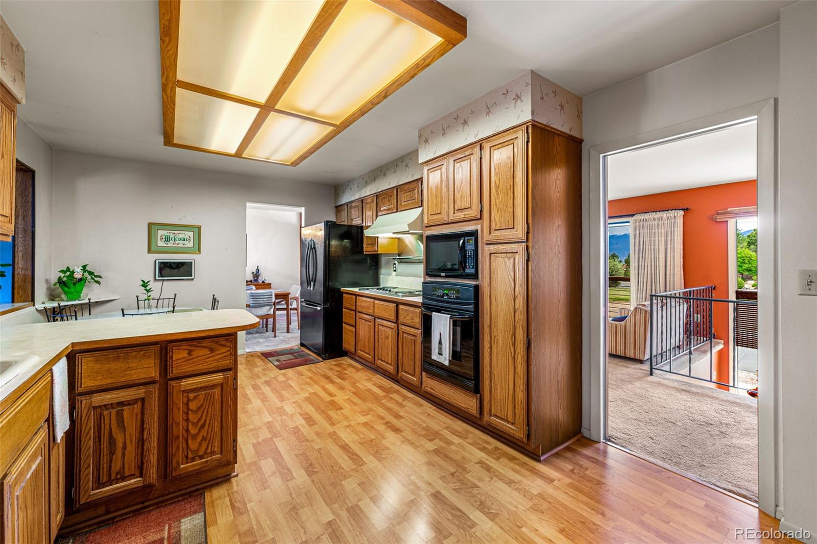 MLS Image #13 for 1619  babcock lane,colorado springs, Colorado