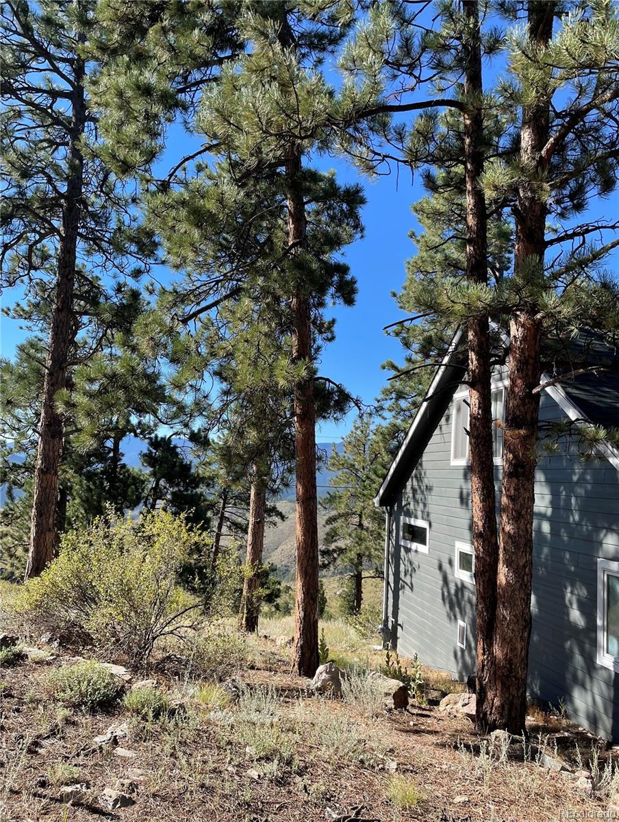 MLS Image #41 for 33998  mineral lane,pine, Colorado