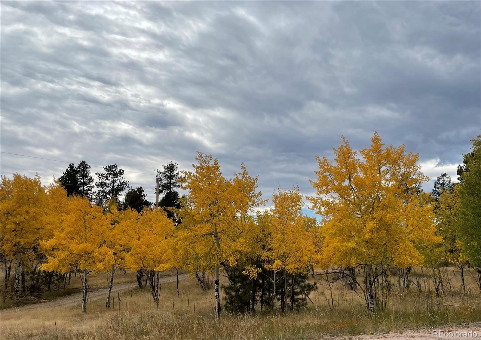 MLS Image #46 for 33998  mineral lane,pine, Colorado