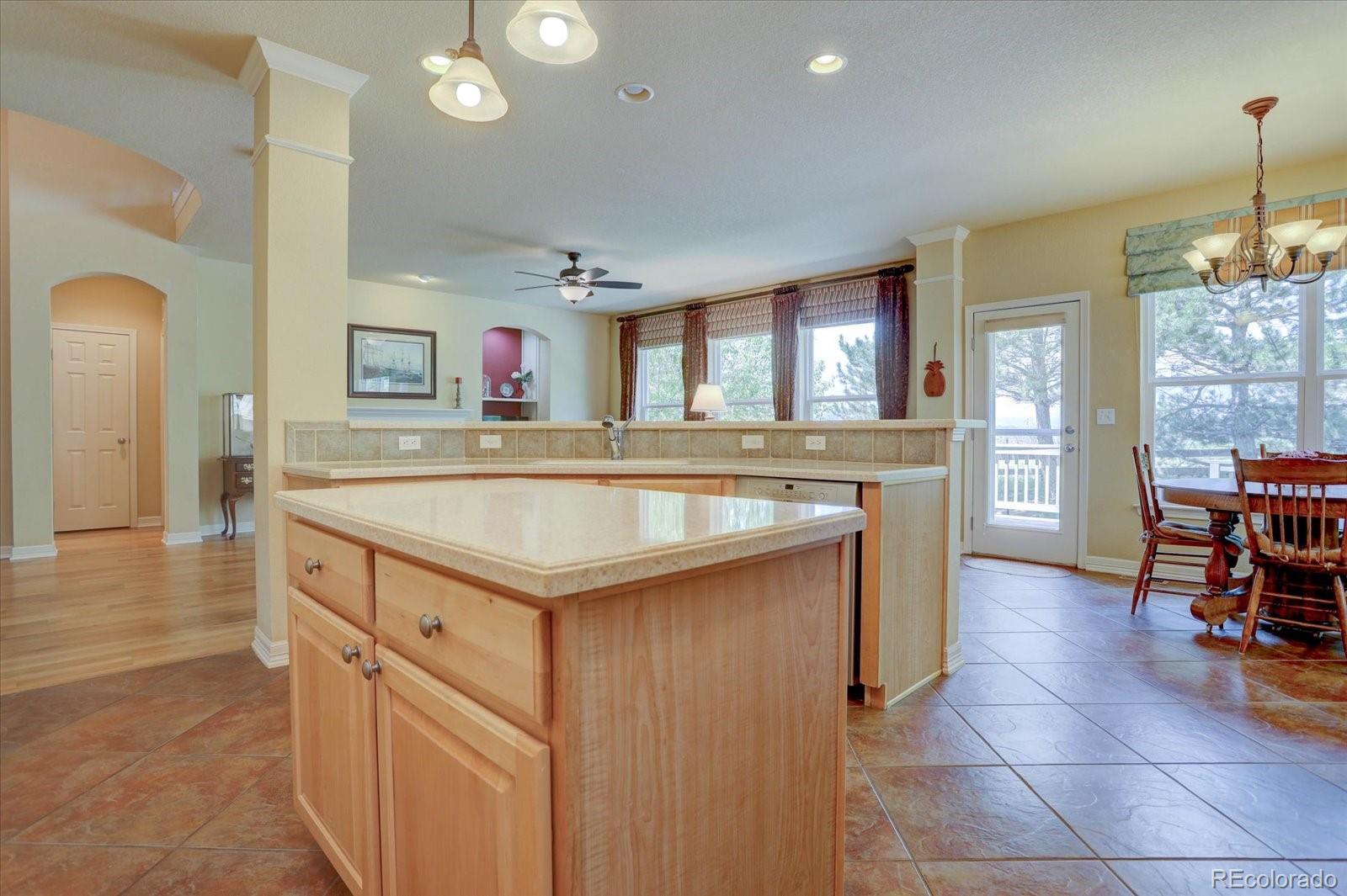 MLS Image #11 for 1793  wild star way,castle rock, Colorado