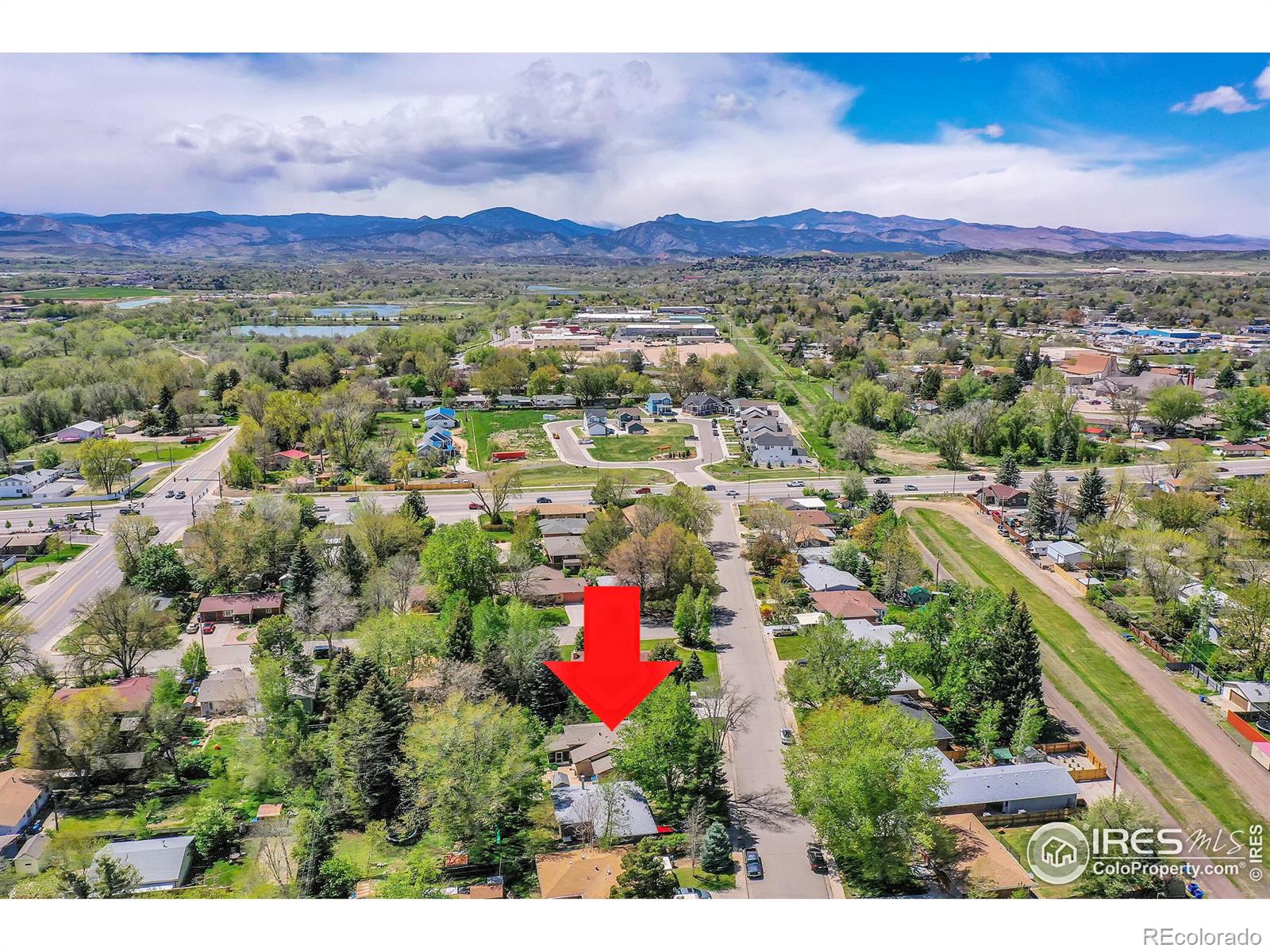 MLS Image #22 for 1210  gard place,loveland, Colorado